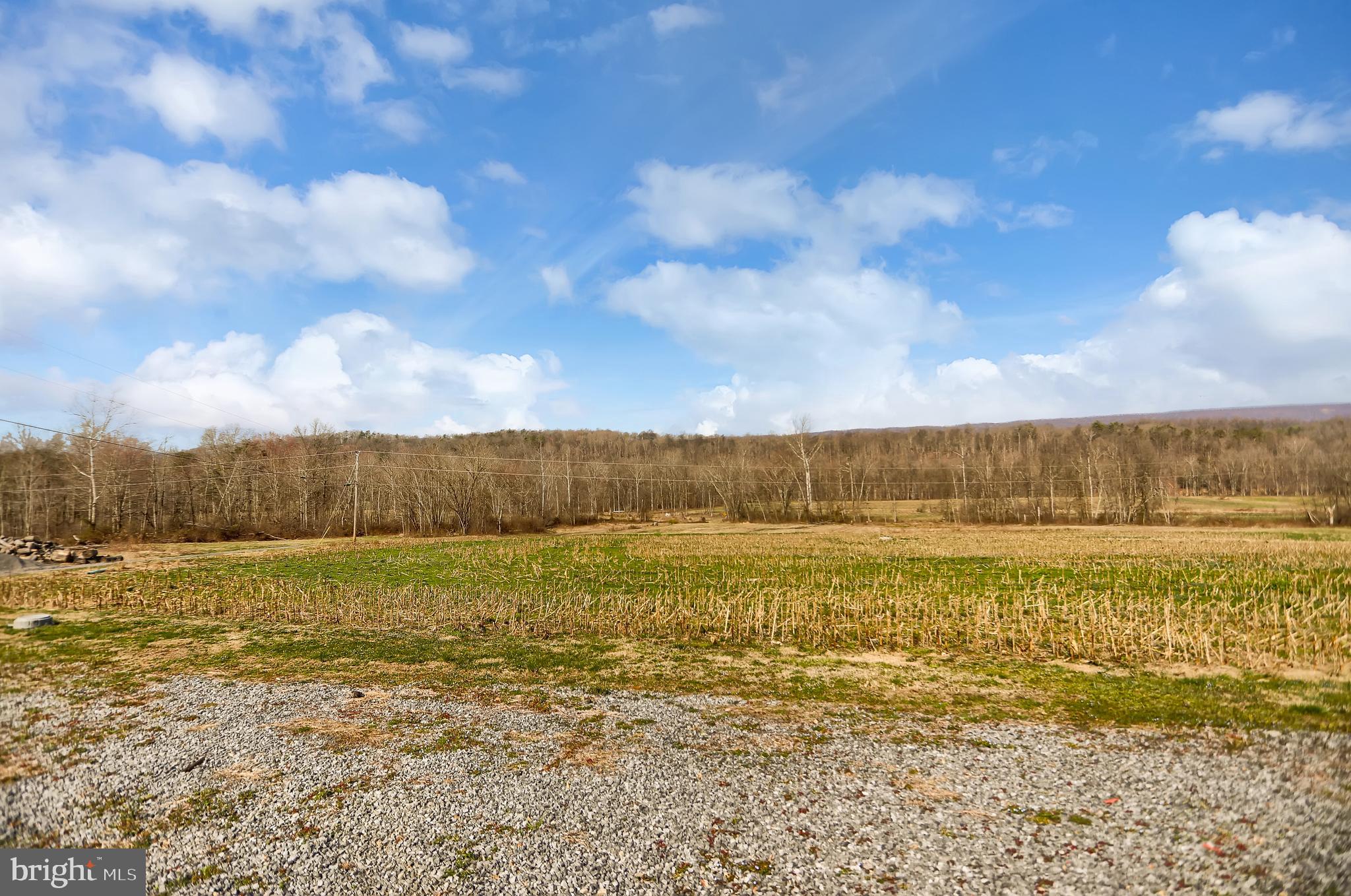 NONE AVAILABLE - Farm