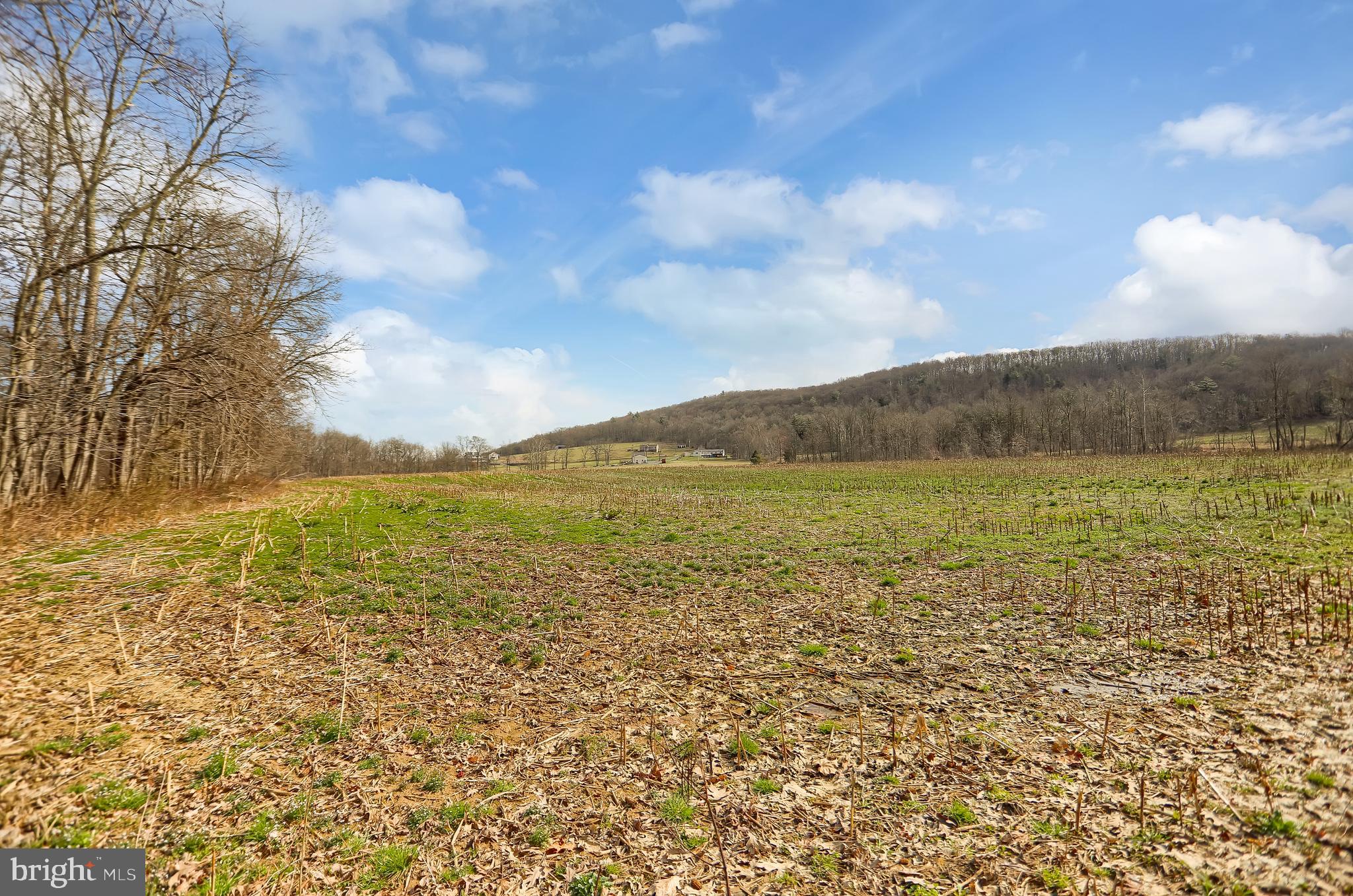 NONE AVAILABLE - Farm