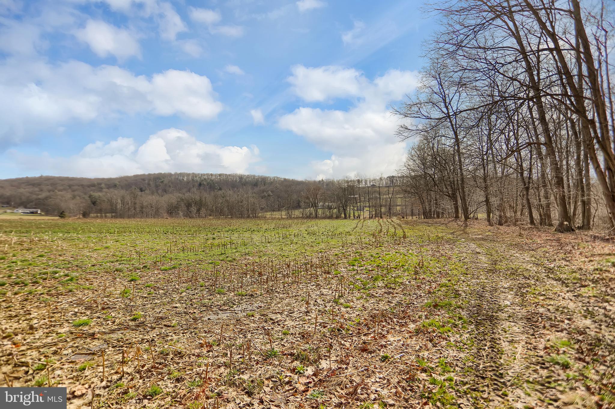 NONE AVAILABLE - Farm