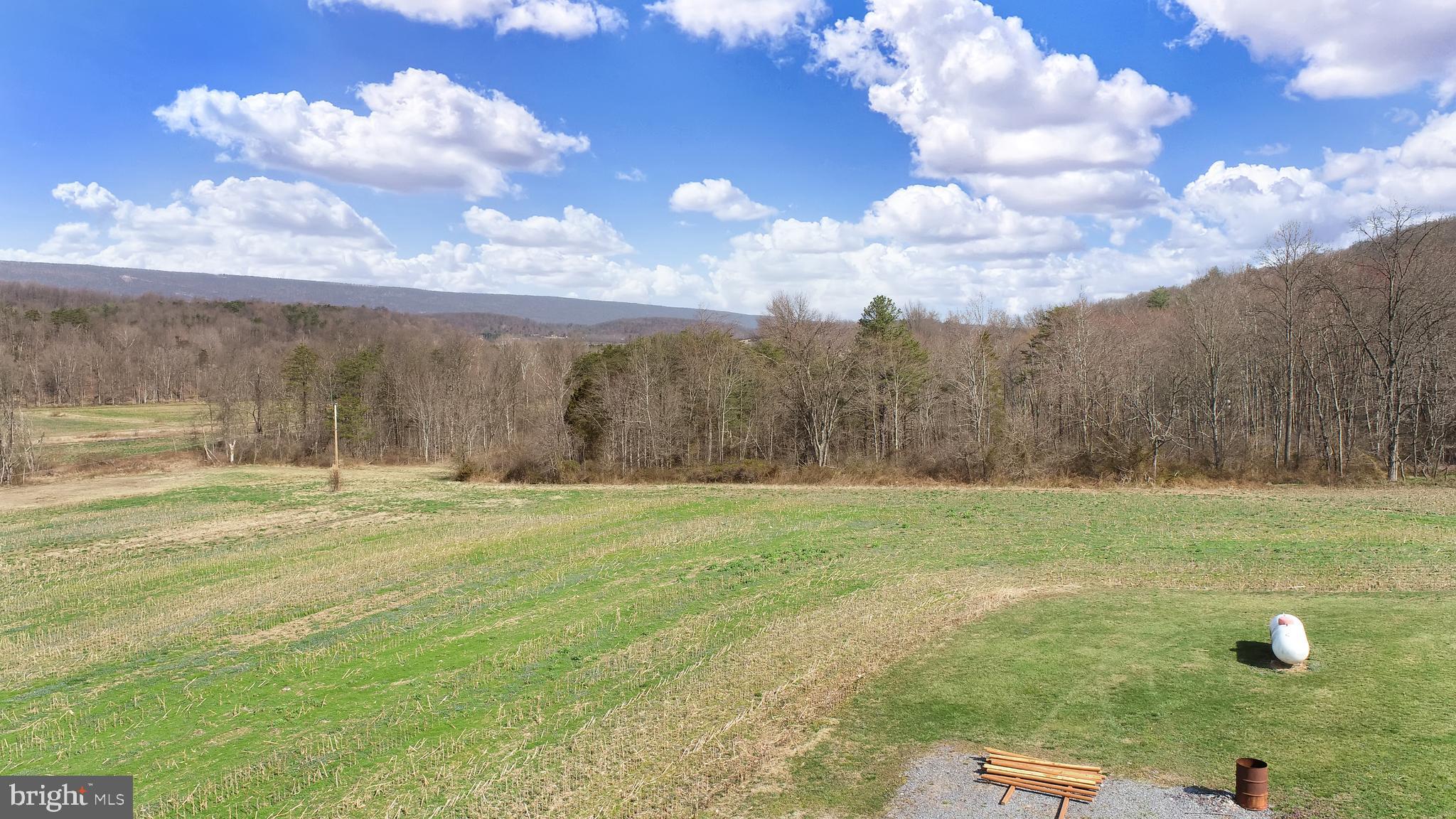 NONE AVAILABLE - Farm