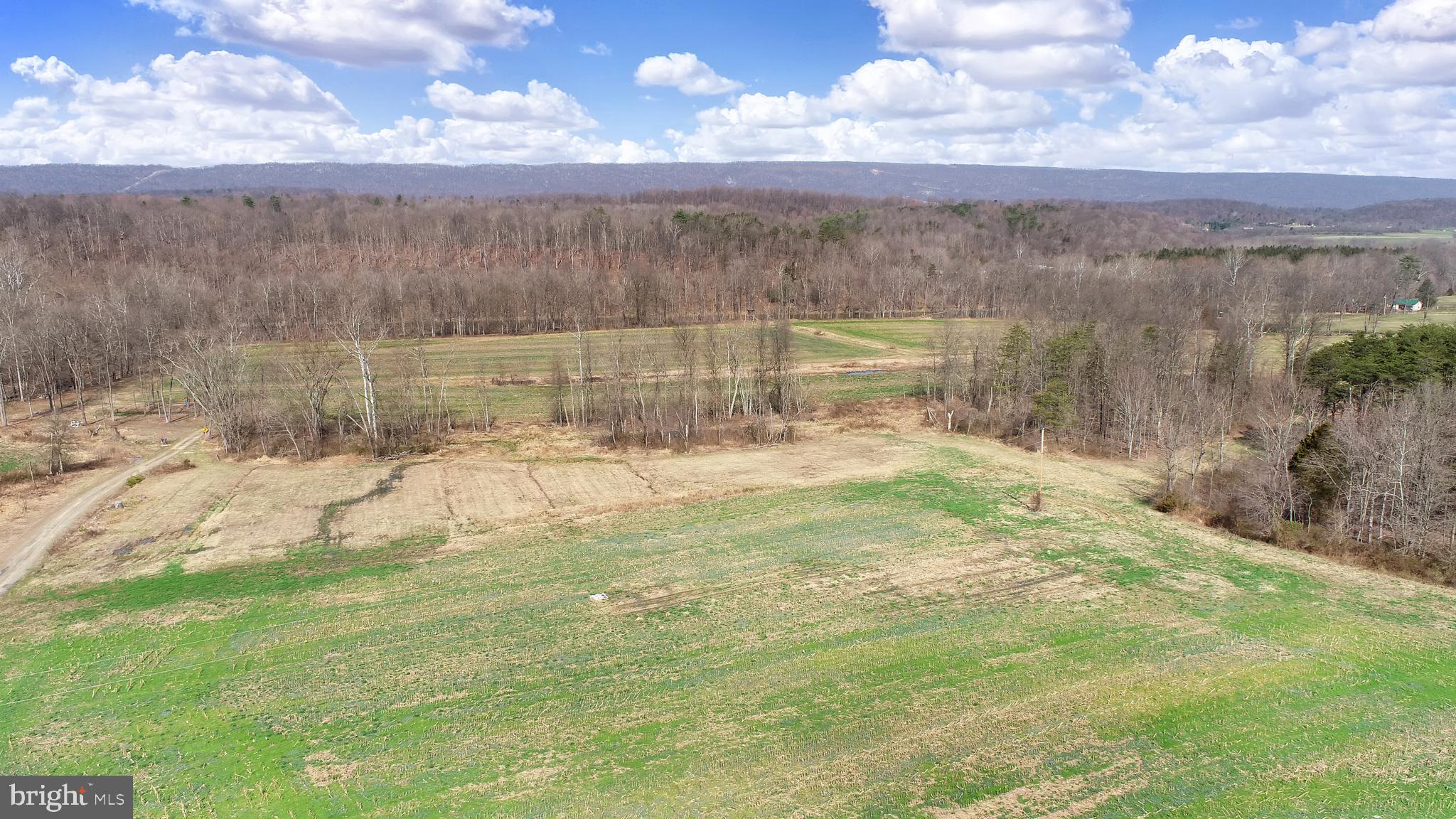 NONE AVAILABLE - Farm