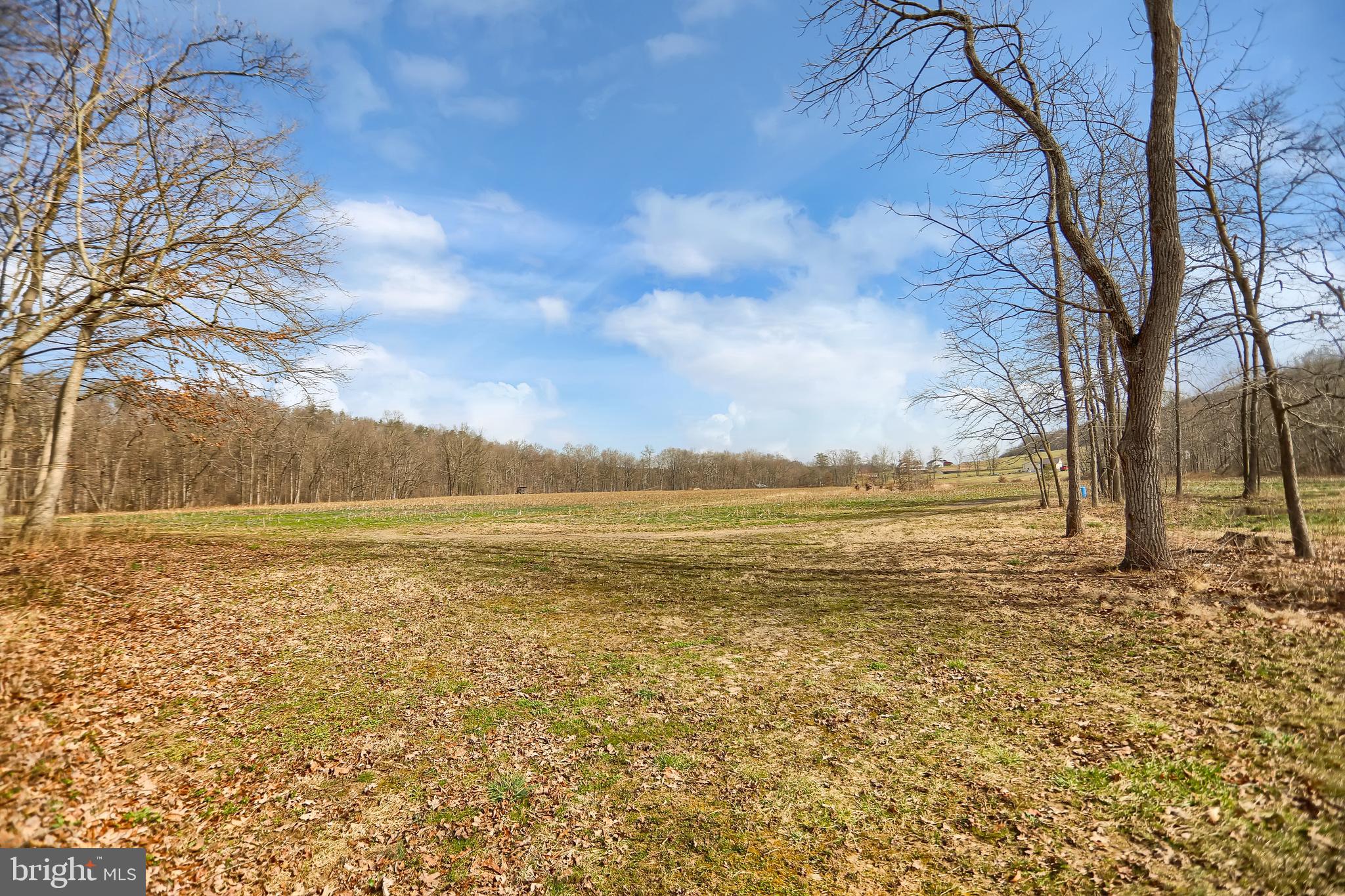 NONE AVAILABLE - Farm