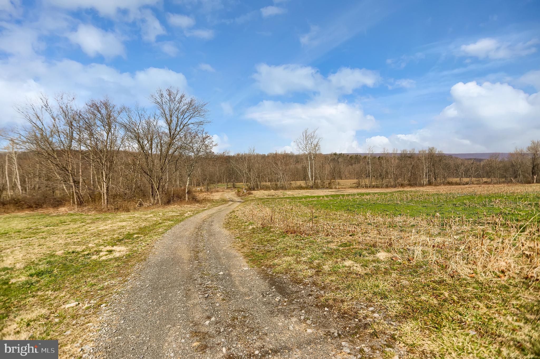 NONE AVAILABLE - Farm