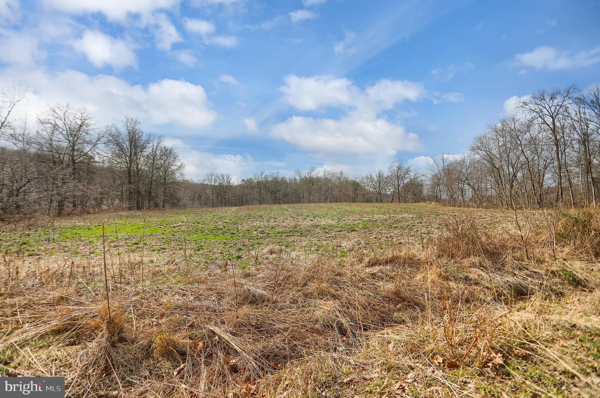 NONE AVAILABLE - Farm