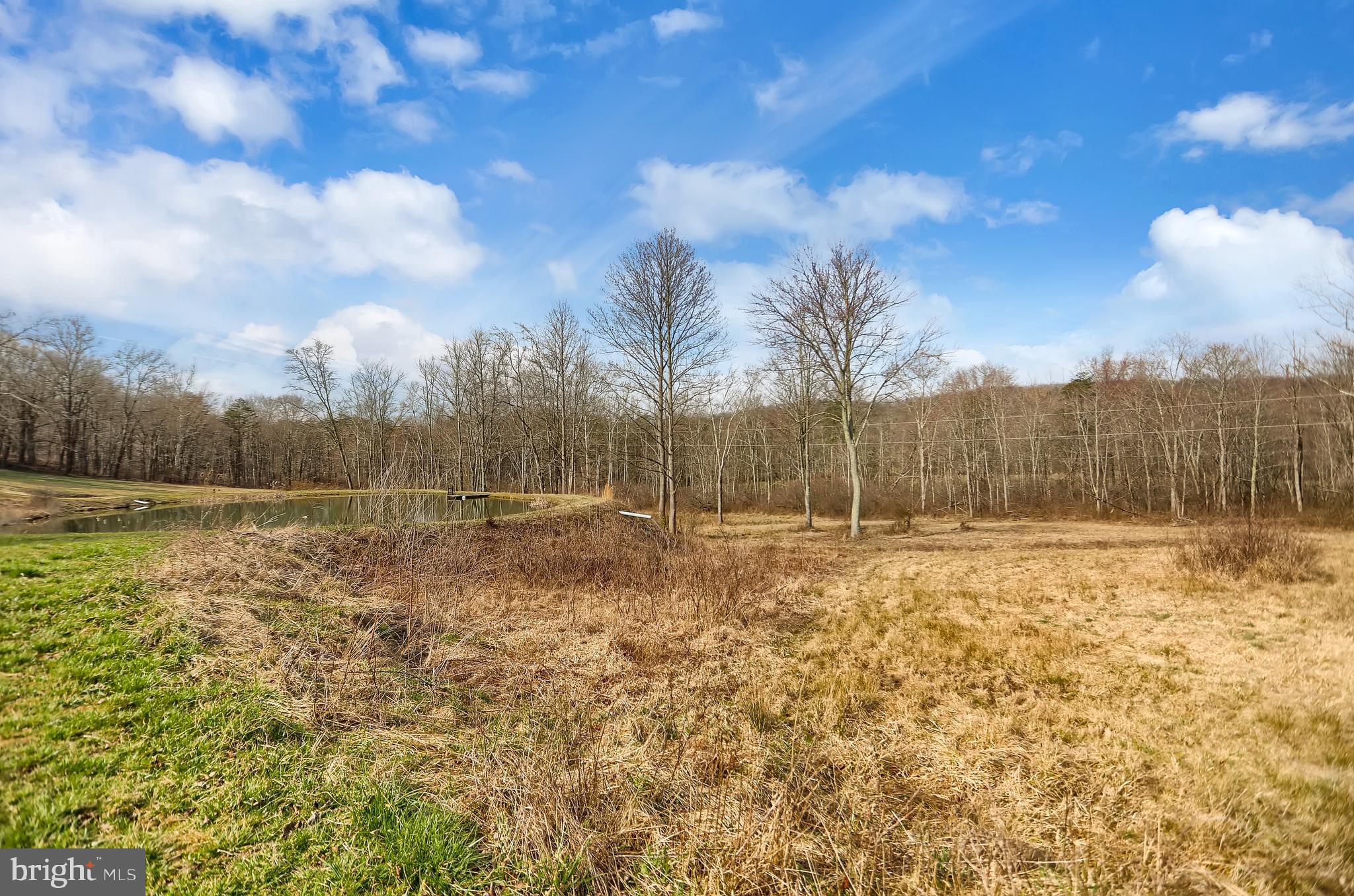 NONE AVAILABLE - Farm