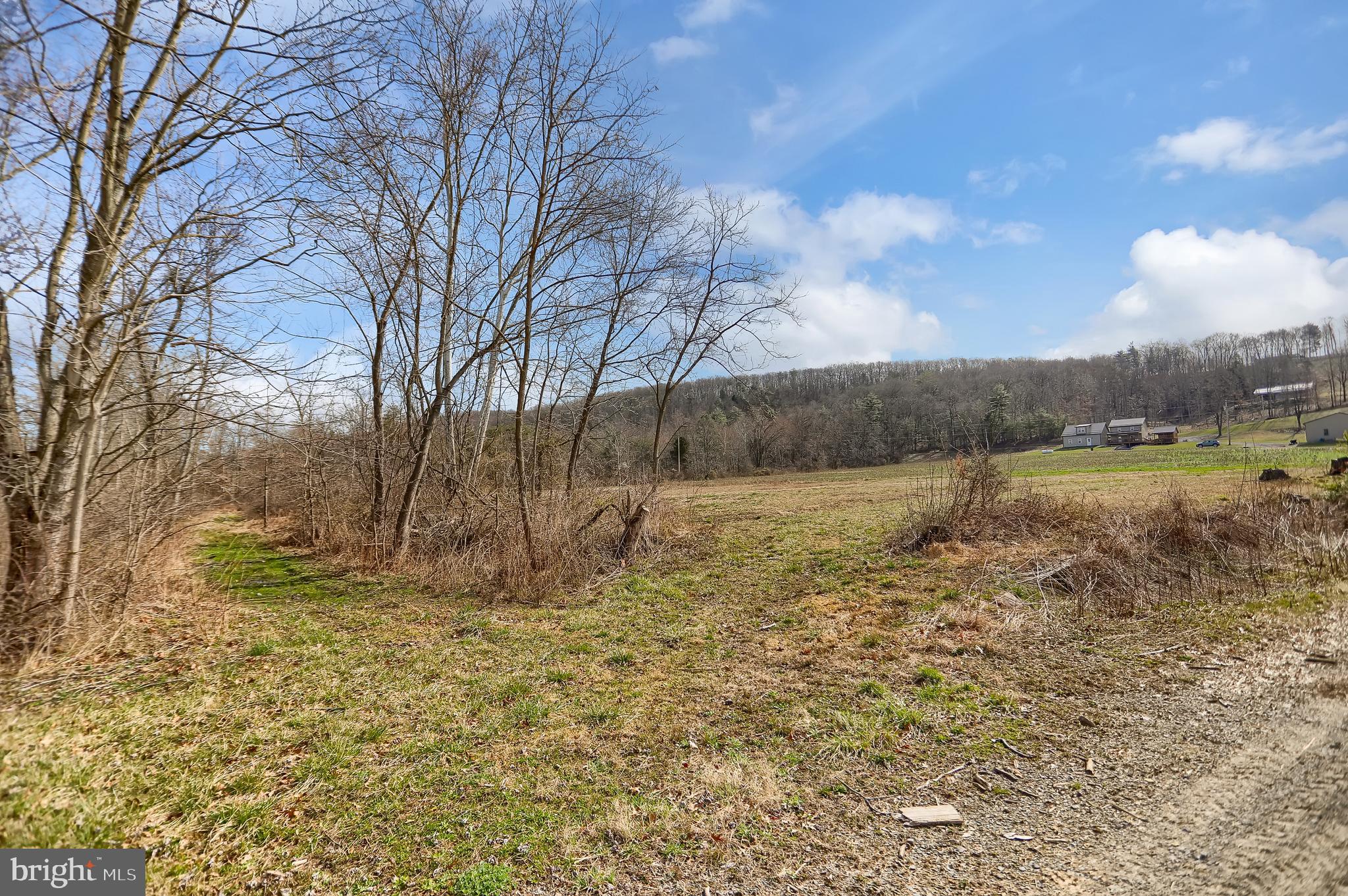 NONE AVAILABLE - Farm