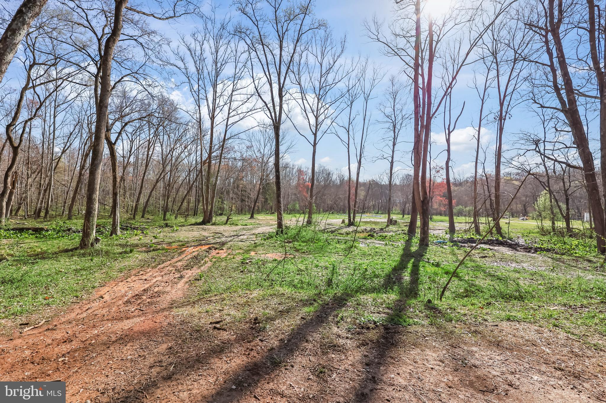 KINGS GRANT - Residential