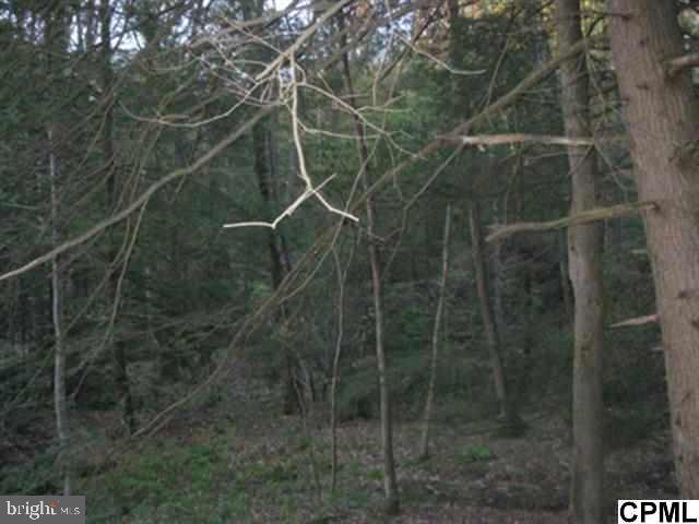 Mountian Paradise awaiting you: 111+ acres adjoining Bald Eagle State Forest. Deer, Bear, Turkey and more...Many Springs on Property...Was timbered 16 chest high approx 2 yrs ago...50' Deeded Right of Way...many trails for walking or ATVs on property...Don't miss this opportunity Call today. Bottom left corner of the lot is by sign.