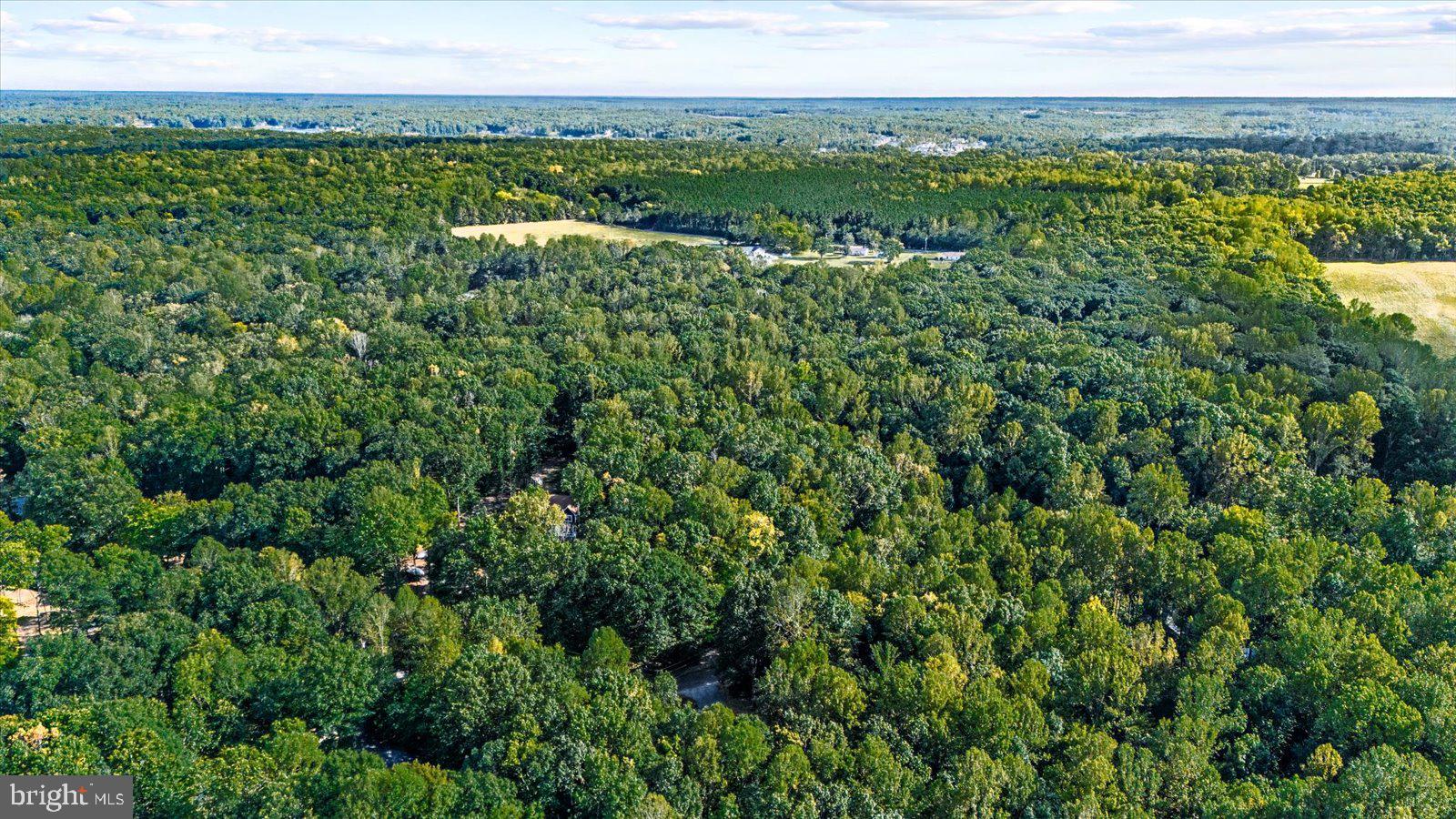 MORGAN - Residential