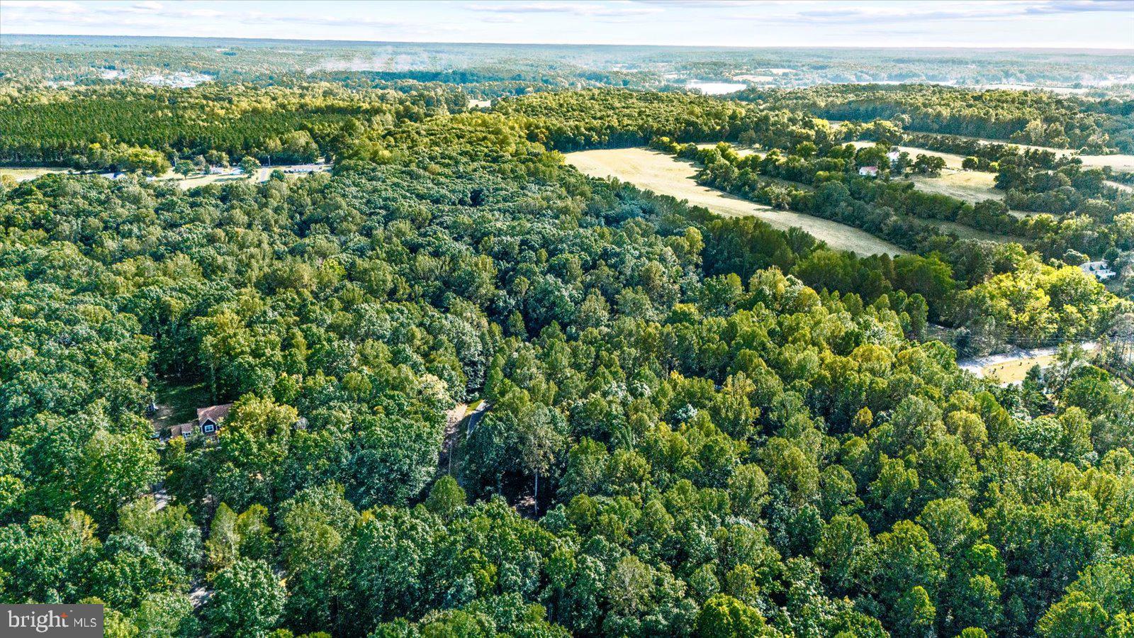 MORGAN - Residential