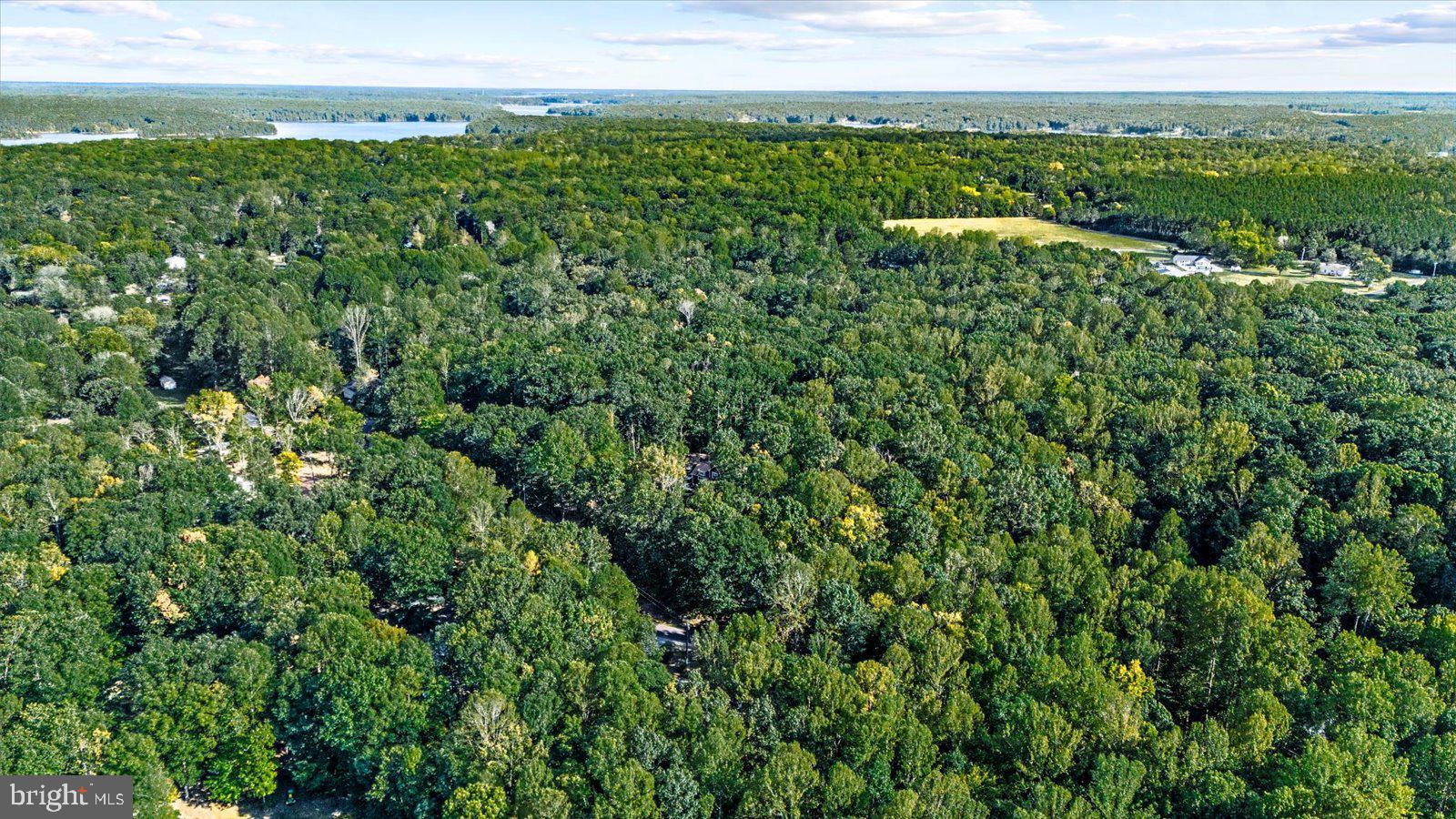 MORGAN - Residential