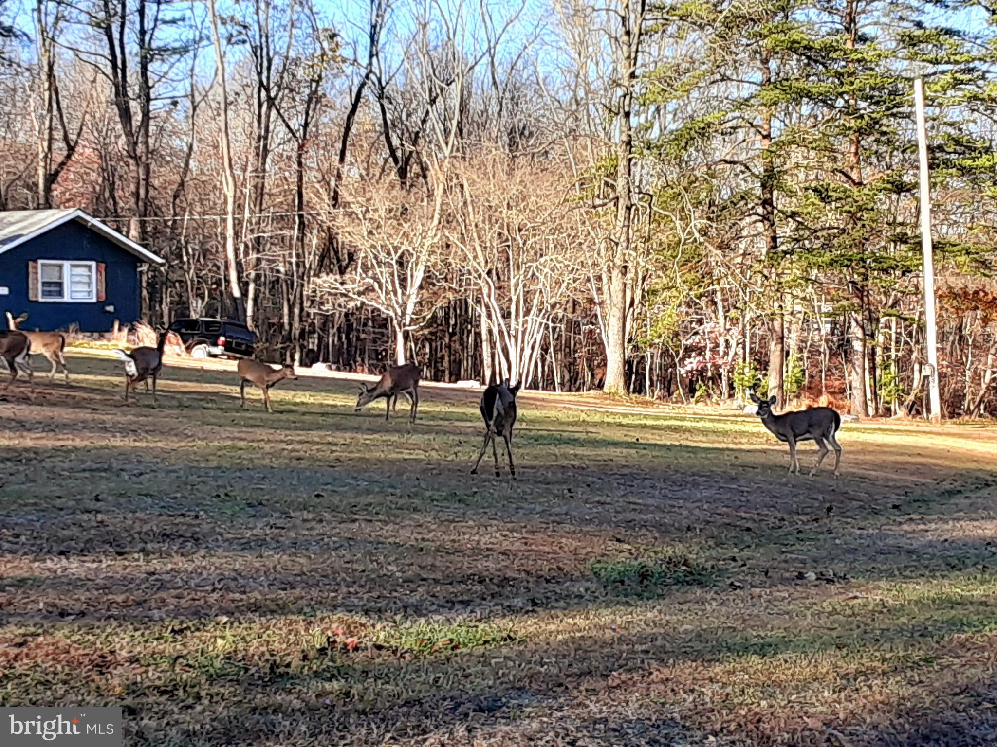 SOMERSET - Residential