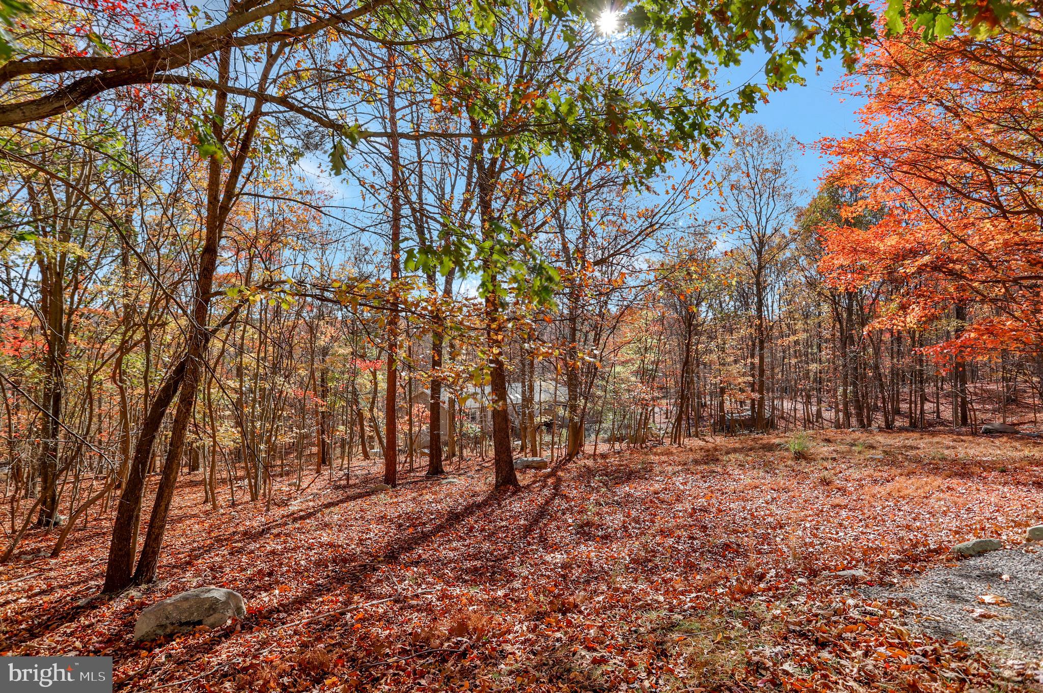 SOMERSET - Residential