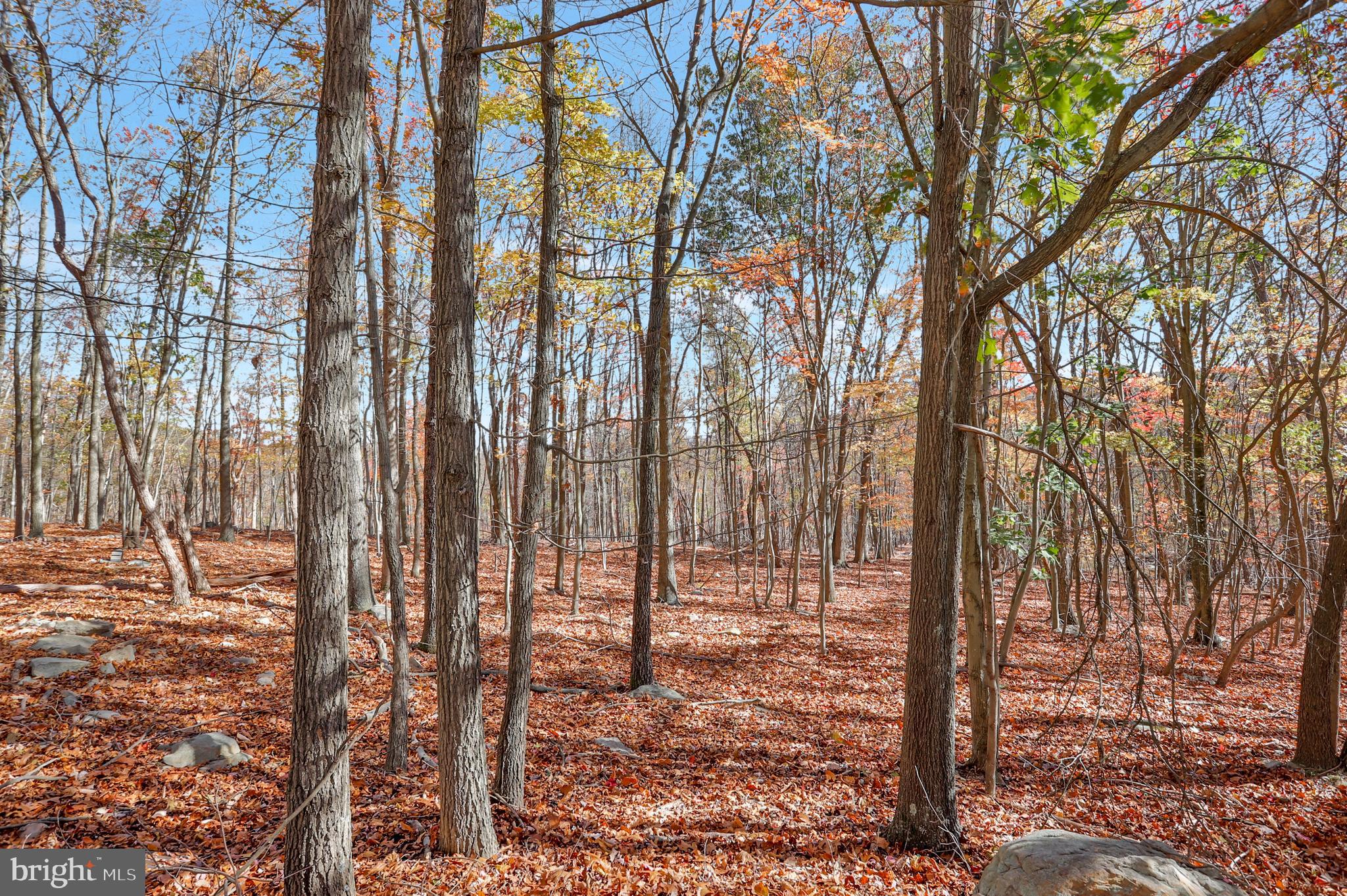 SOMERSET - Residential