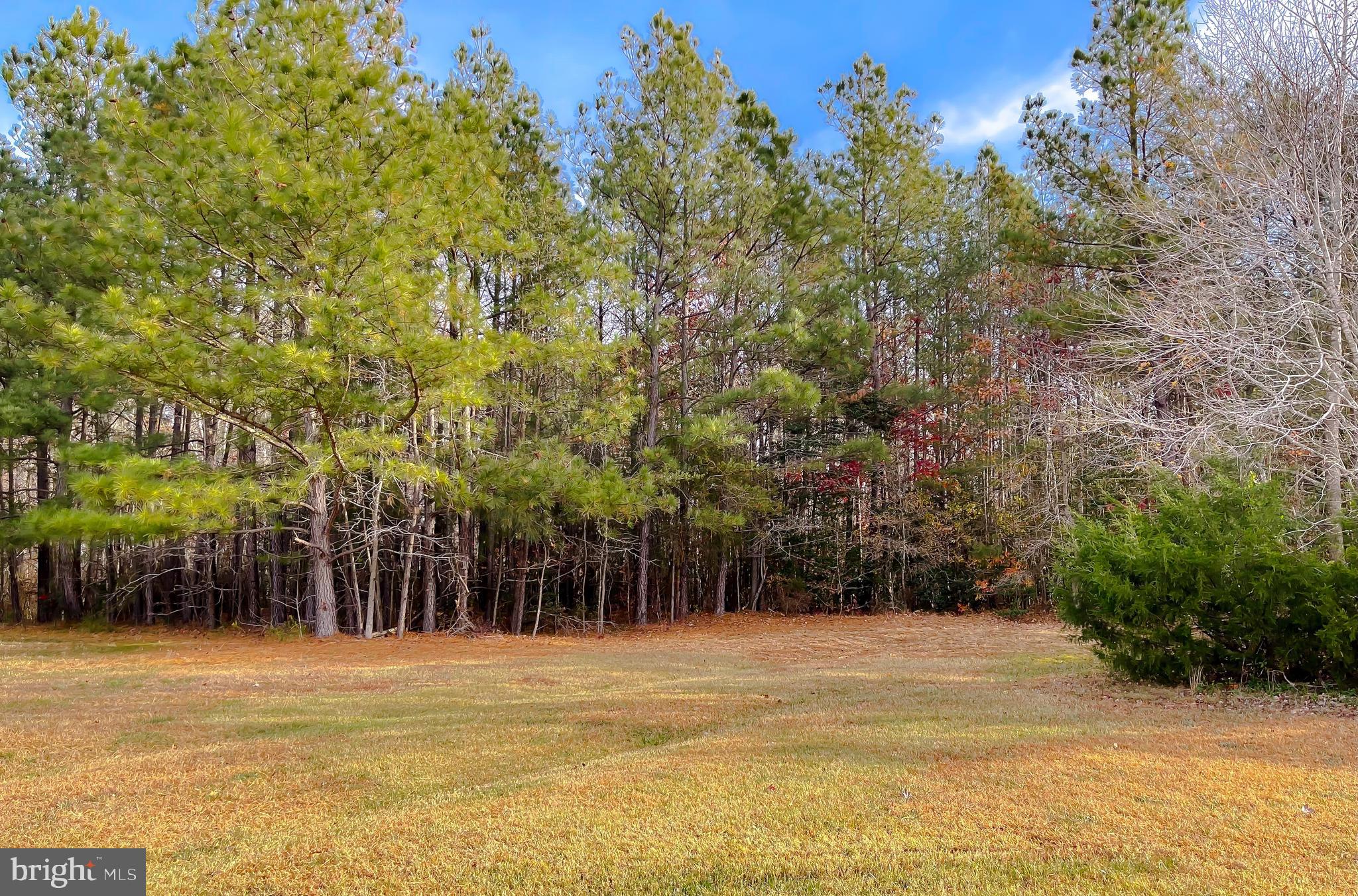 ARROWHEAD - Residential