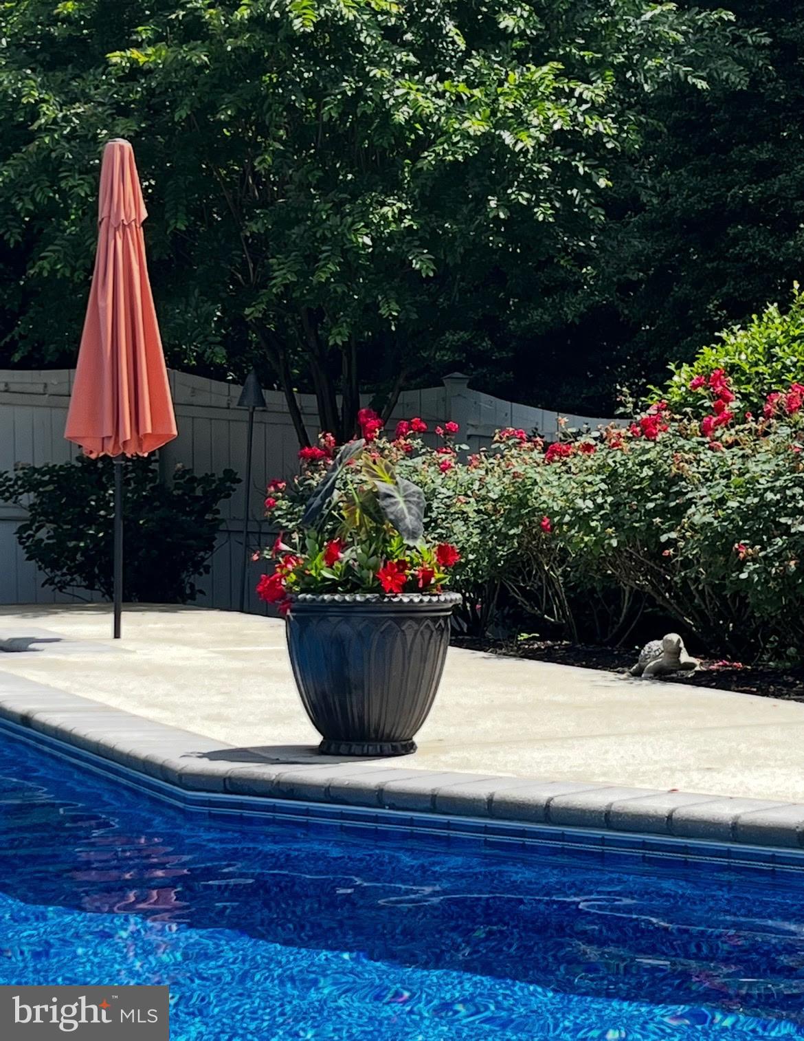 TONY TANK - Residential