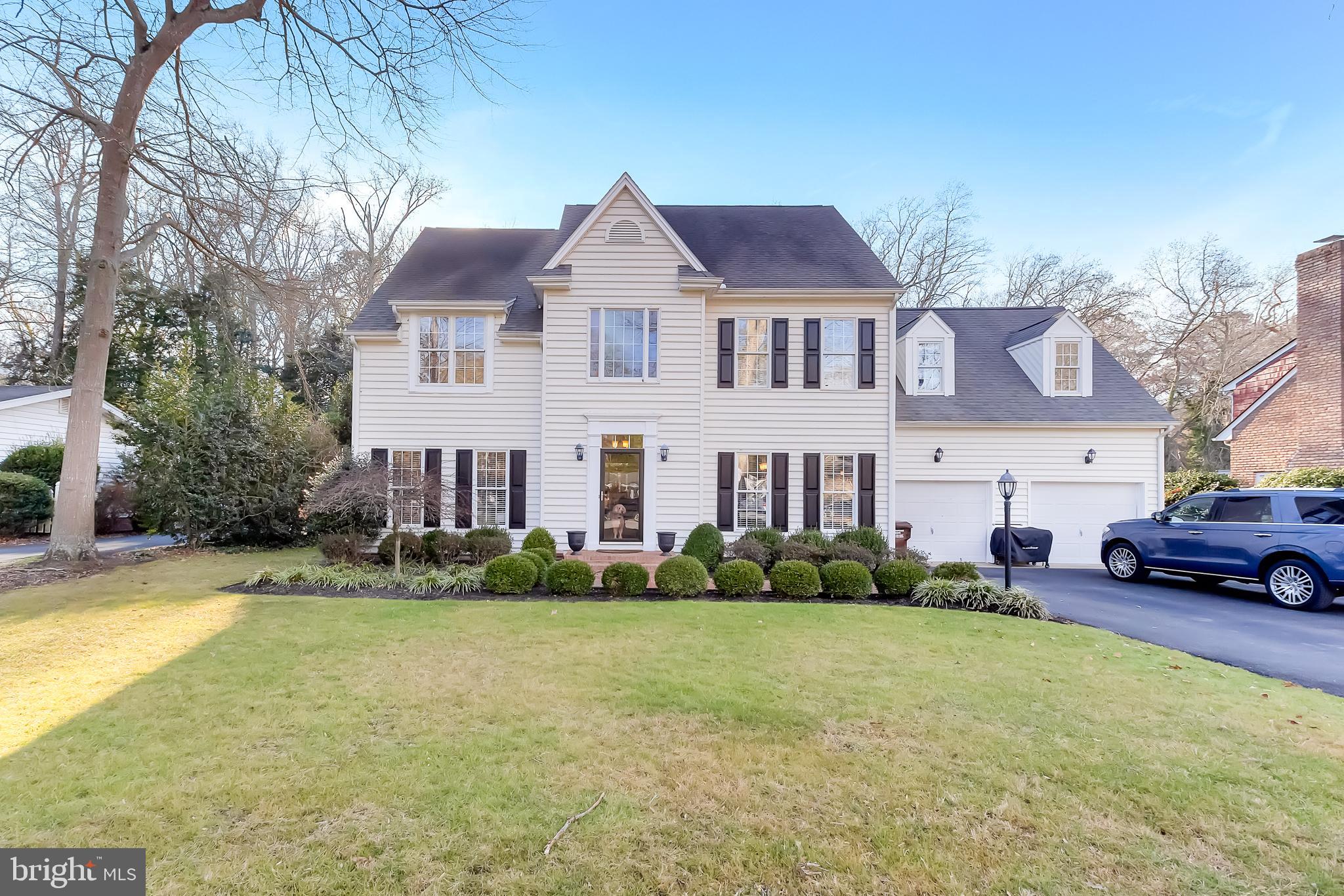 TONY TANK - Residential