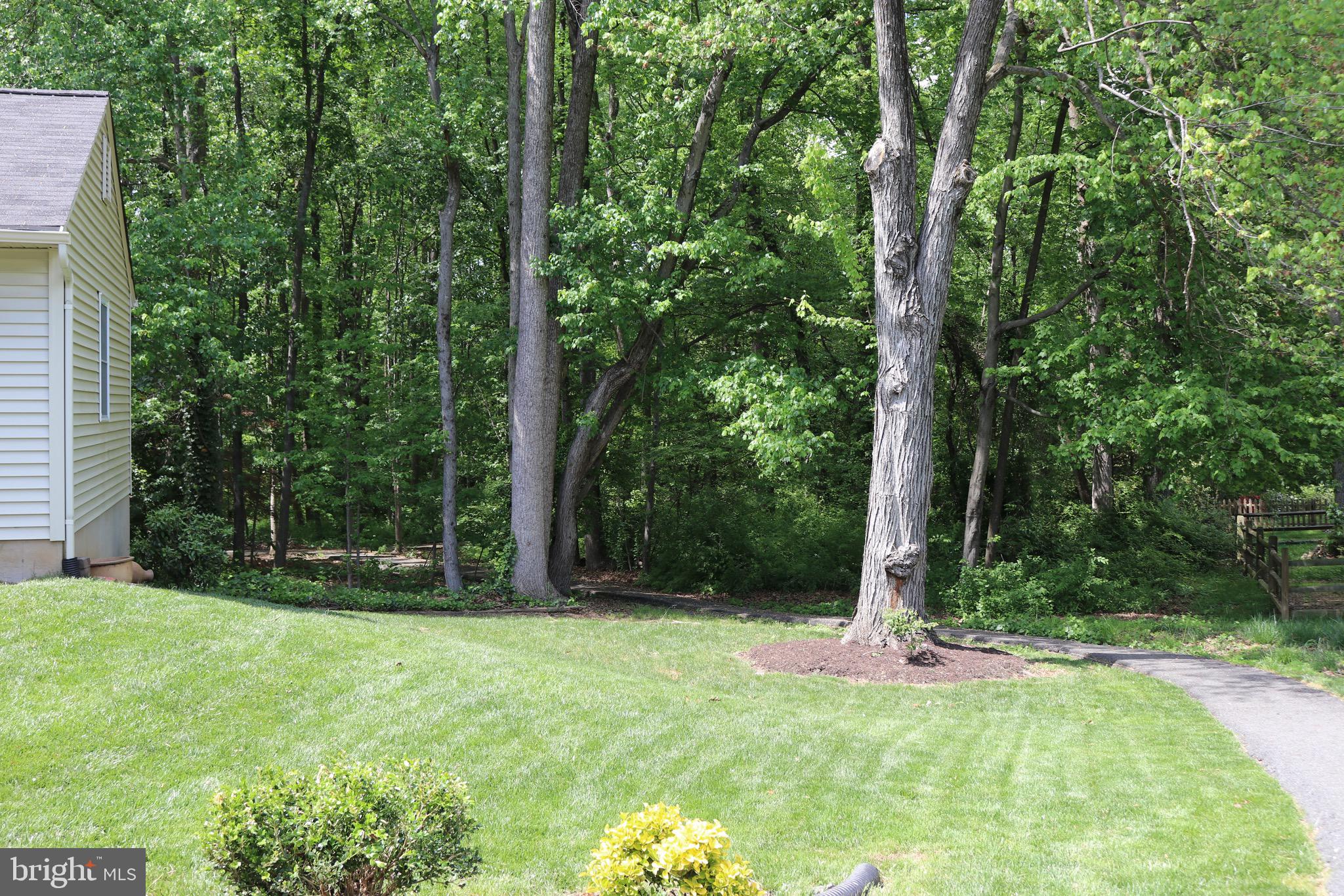 10056 MARSHALL POND ROAD