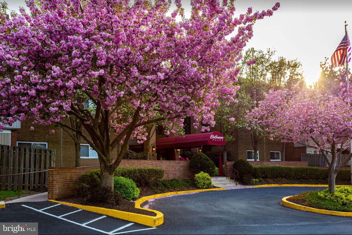 FOR SALE – Spacious 2BR/2BA Condo in Chelbourne Plaza, Elkins Park
🏡 Condo #215 – 46 Township Line Rd, Elkins Park, PA 19027
Welcome to Chelbourne Plaza, a well-maintained, elevator building in the heart of Elkins Park! This bright and spacious 2-bedroom, 2-bathroom unit offers approximately 1,200 sq ft of comfortable living space.
✨ Features include:
Open and airy layout with generous room sizes
Large living and dining area with abundant natural light
Ample closet space and storage throughout
Two full bathrooms
On-site laundry and secure entry
Professionally managed building with elevator and lobby
🛏️ Ideal for homeowners or investors looking for a low-maintenance property in a convenient location near shops, public transportation, and major roadways.
📣 Other similar 2BR/2BA units available on different floors – inquire for details!
💰 Schedule a private showing today and discover your new home or investment opportunity!