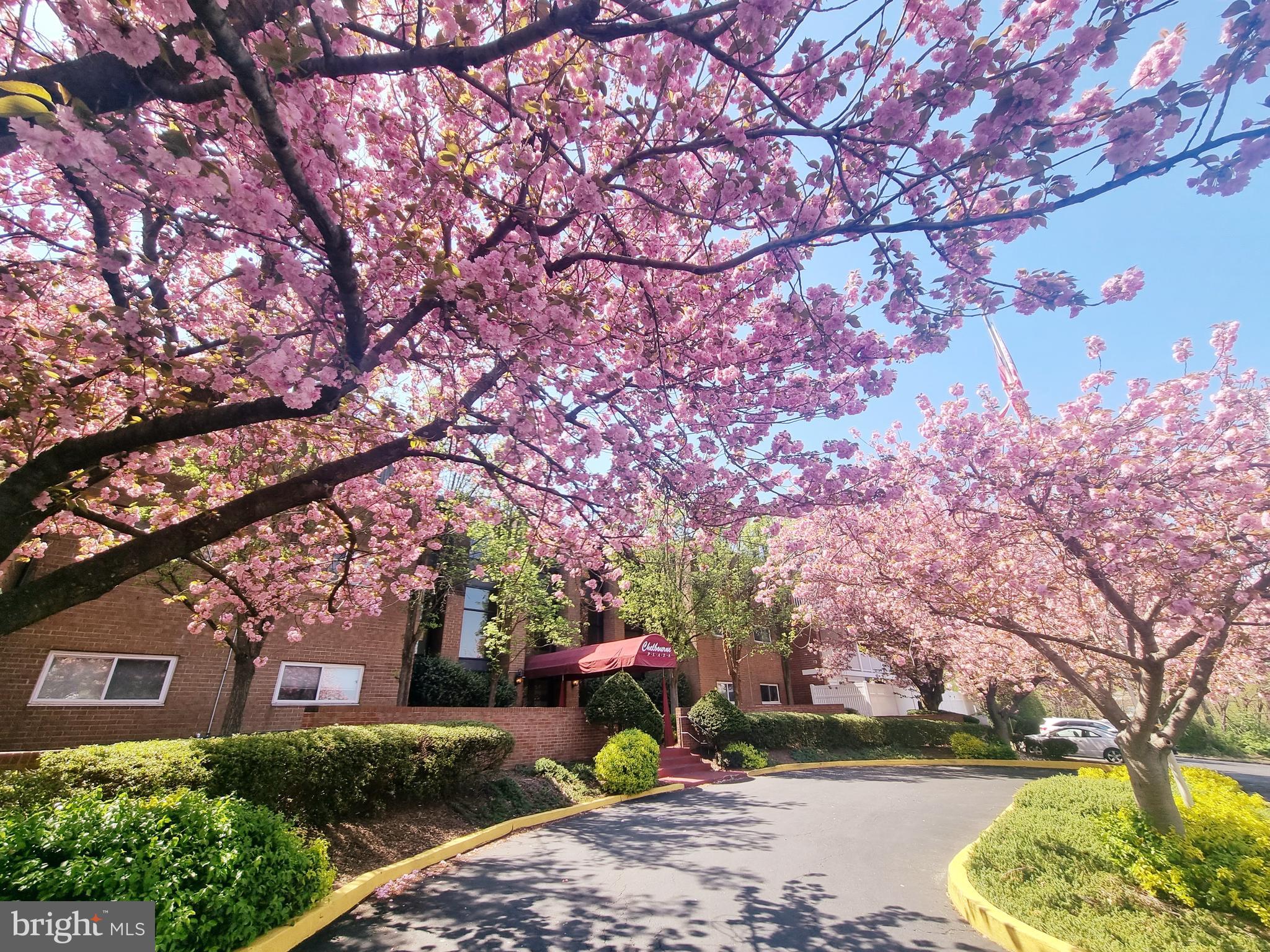 CHELTENHAM - Residential