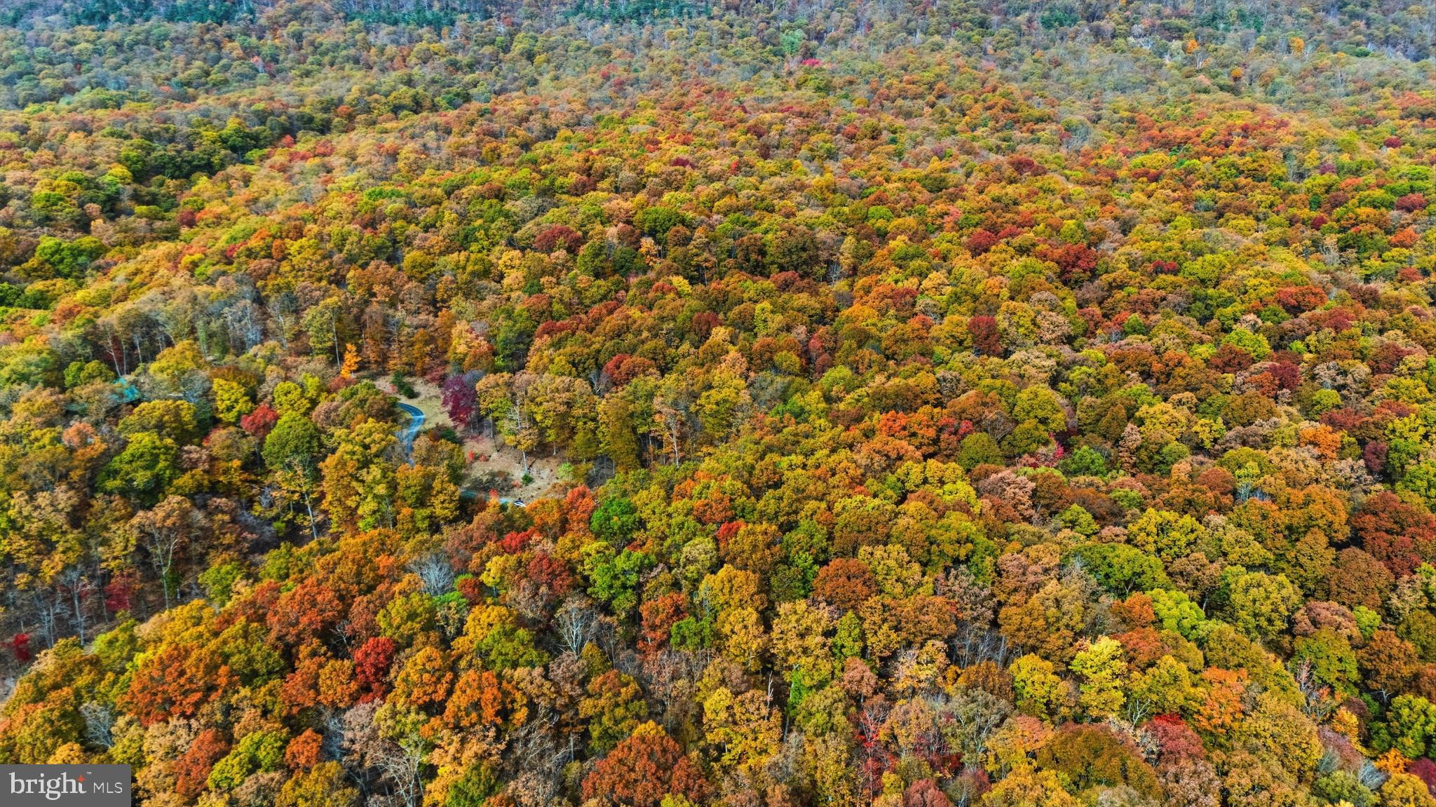 TROUT PASS PARK SUBDIVISION - Land