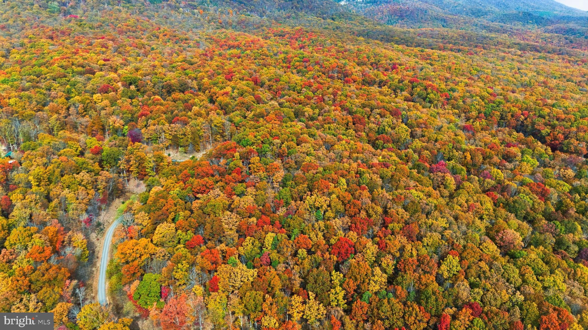 TROUT PASS PARK SUBDIVISION - Land