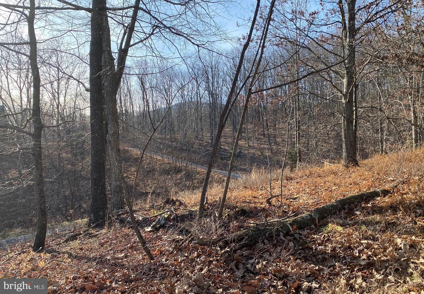 TROUT PASS PARK SUBDIVISION - Land