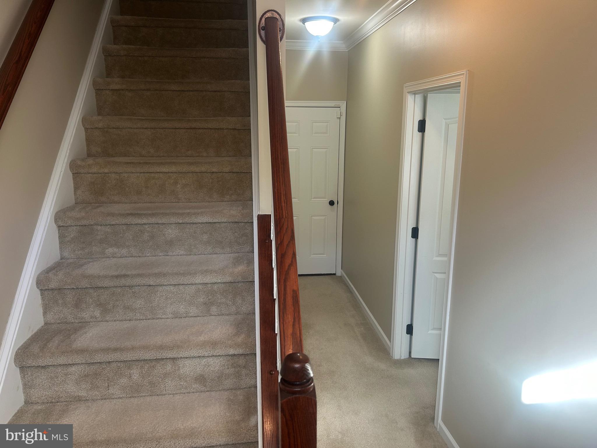 AMBERLEA AT SOUTH RIDING - Residential