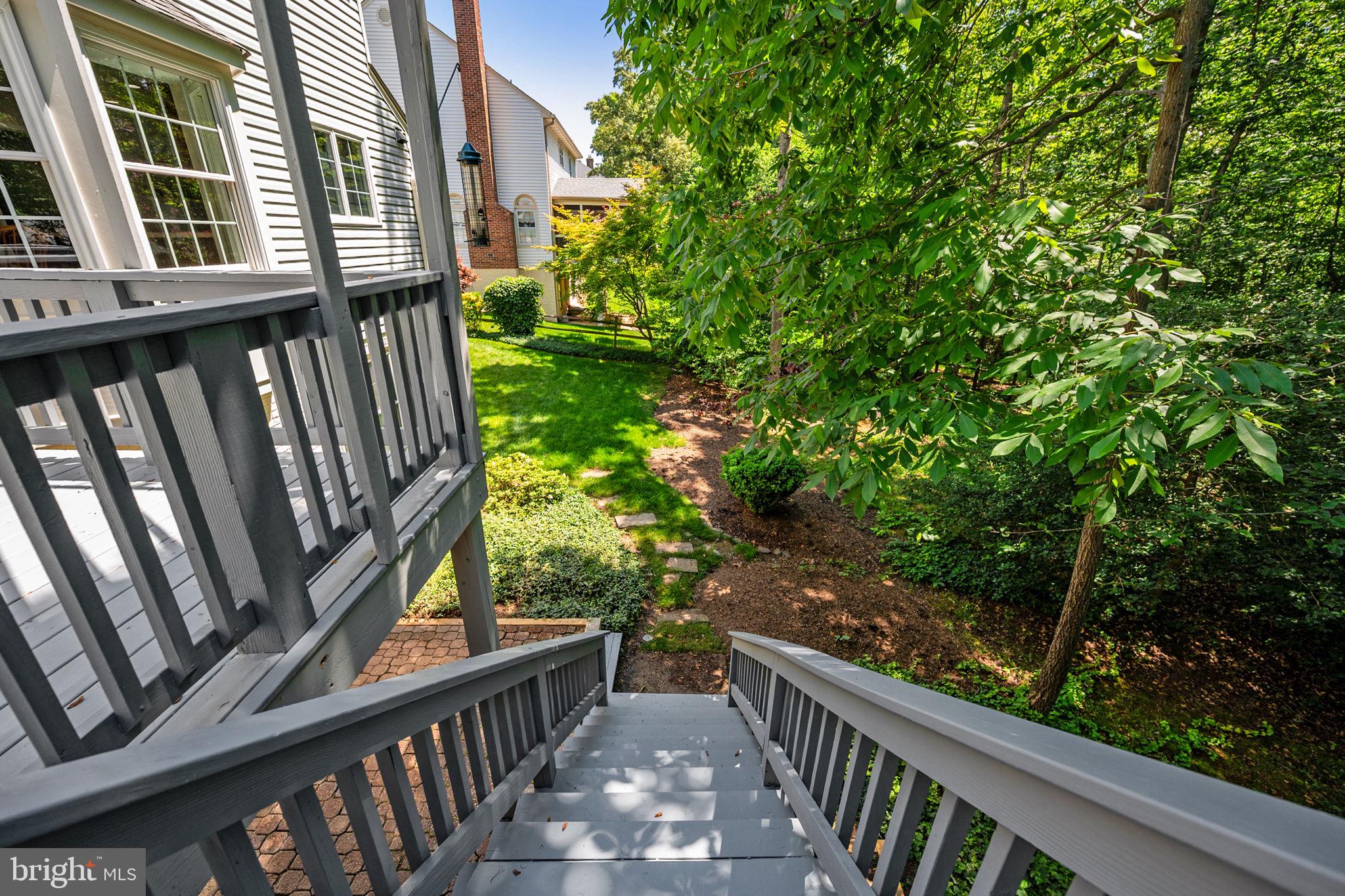 SOUTH RUN FOREST - Residential