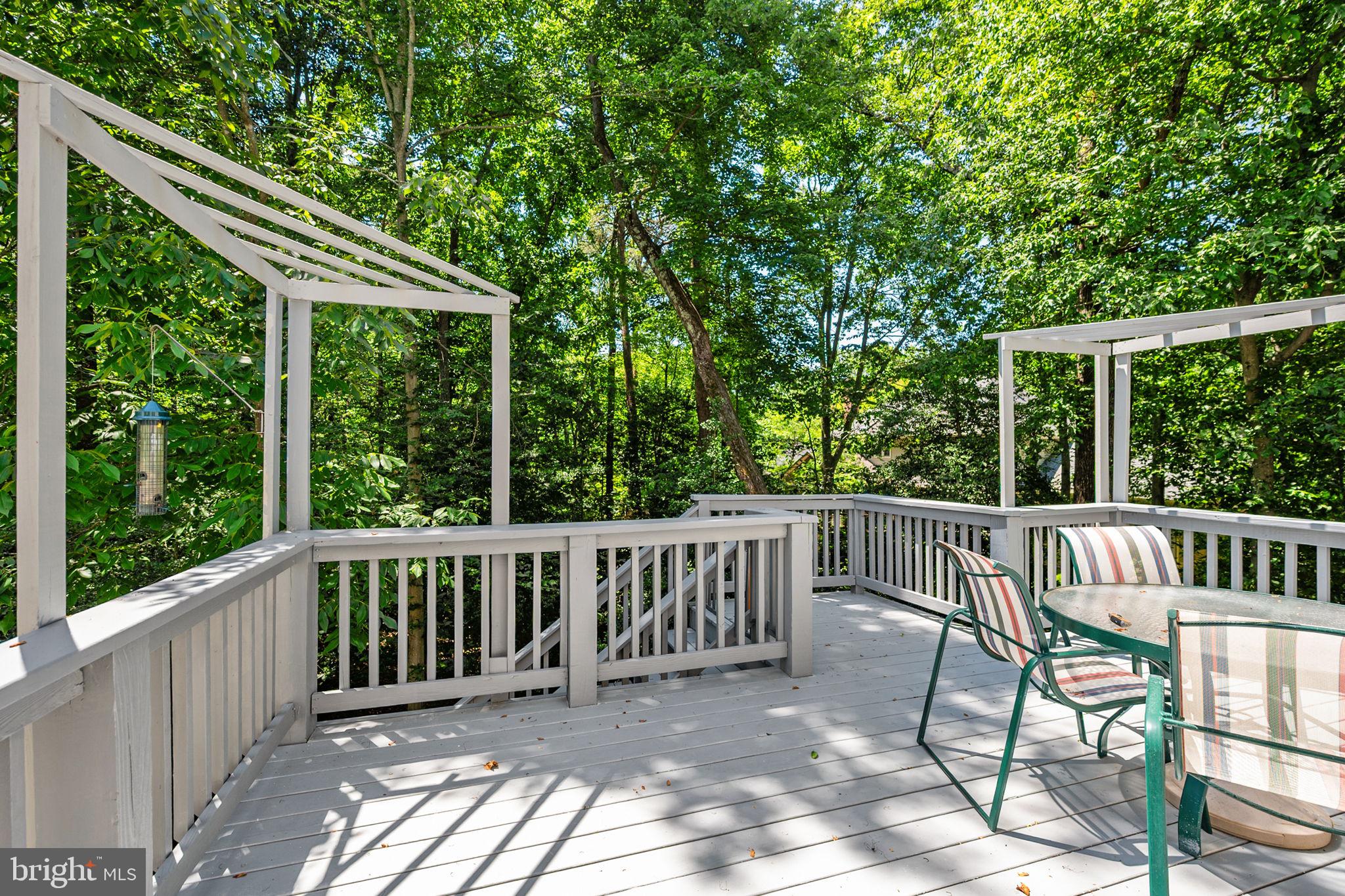 SOUTH RUN FOREST - Residential