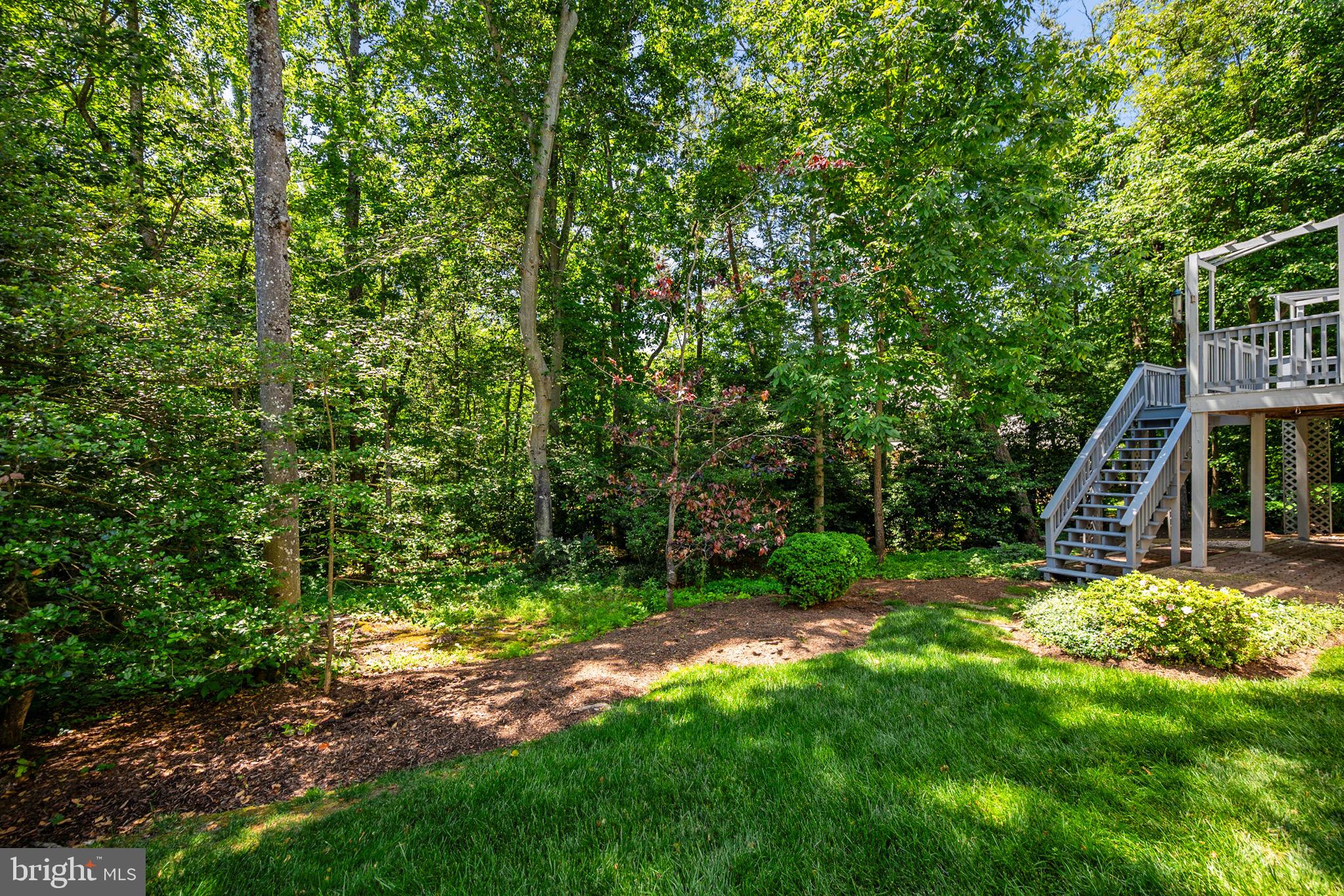 SOUTH RUN FOREST - Residential