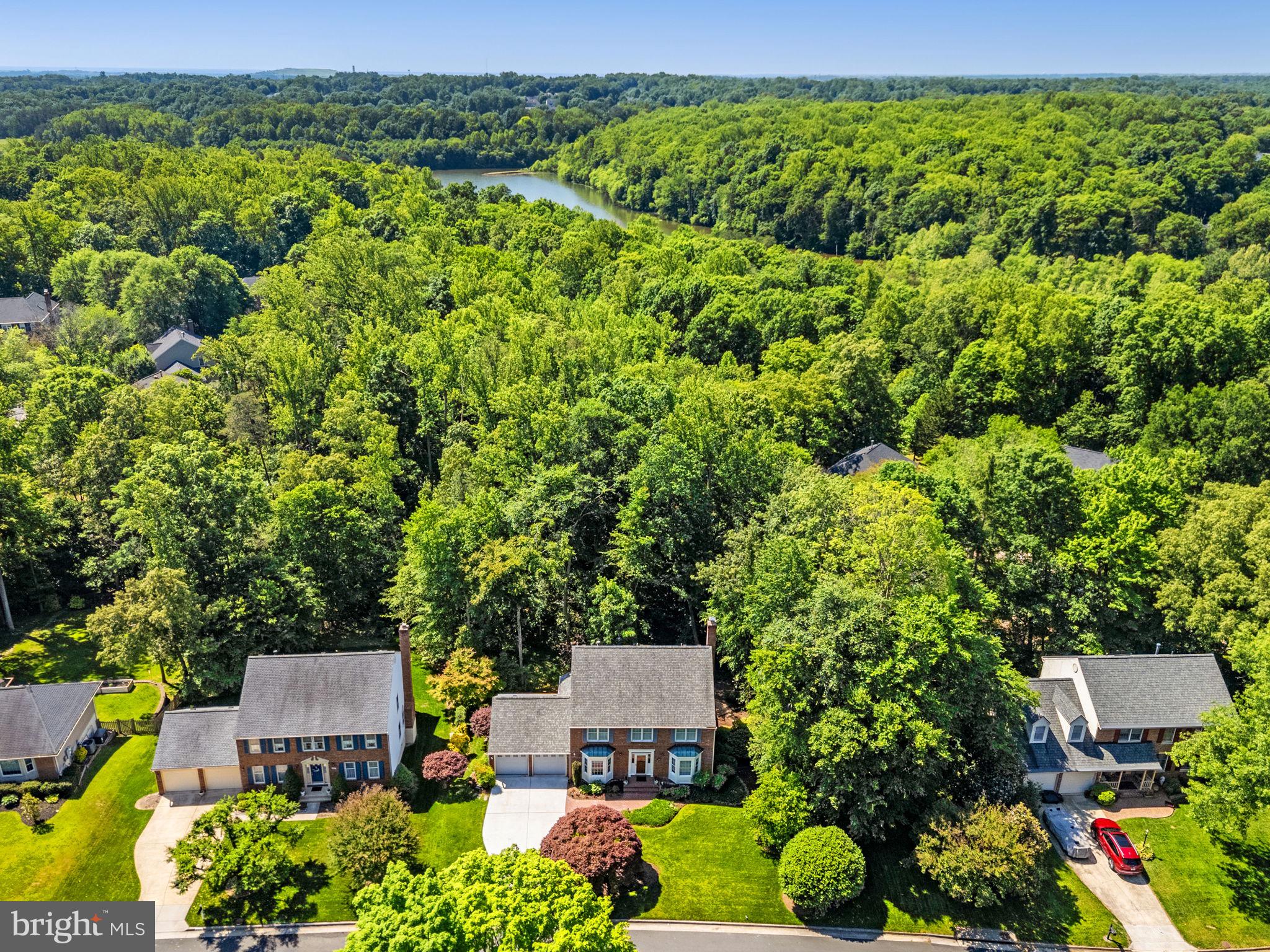 SOUTH RUN FOREST - Residential