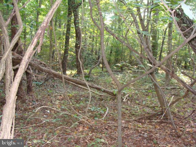 4035 ST LEONARD ROAD