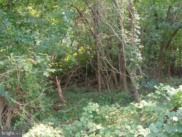 4035 ST LEONARD ROAD