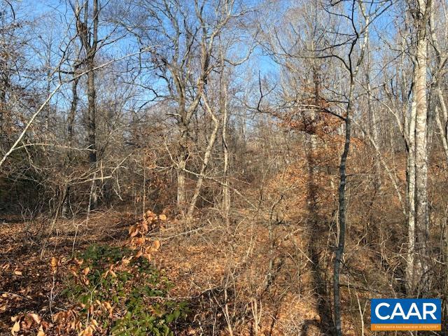 SHENANDOAH CROSSING - Land