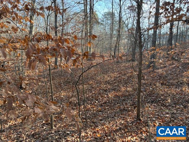 SHENANDOAH CROSSING - Land