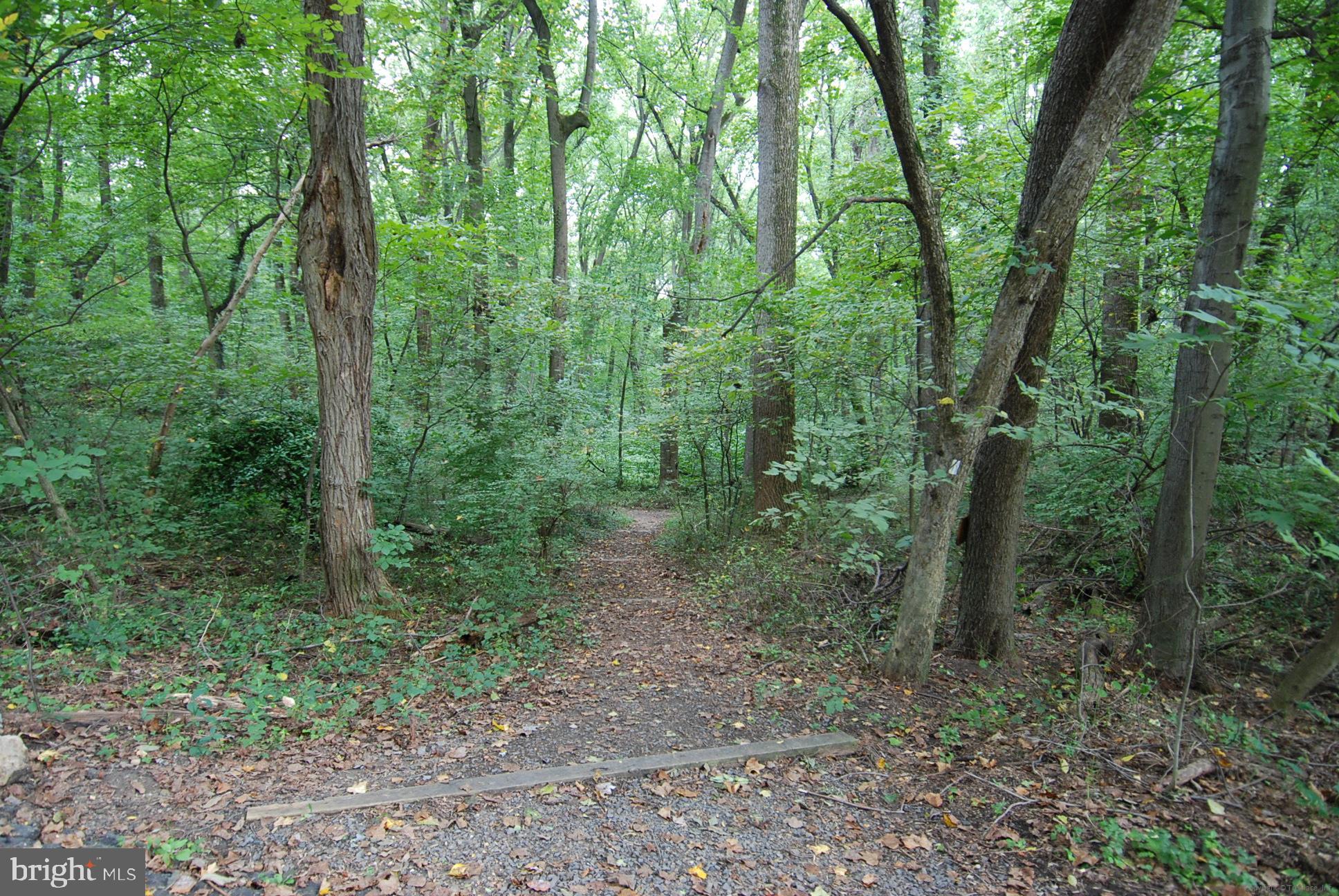 BELLEVUE FOREST - Residential