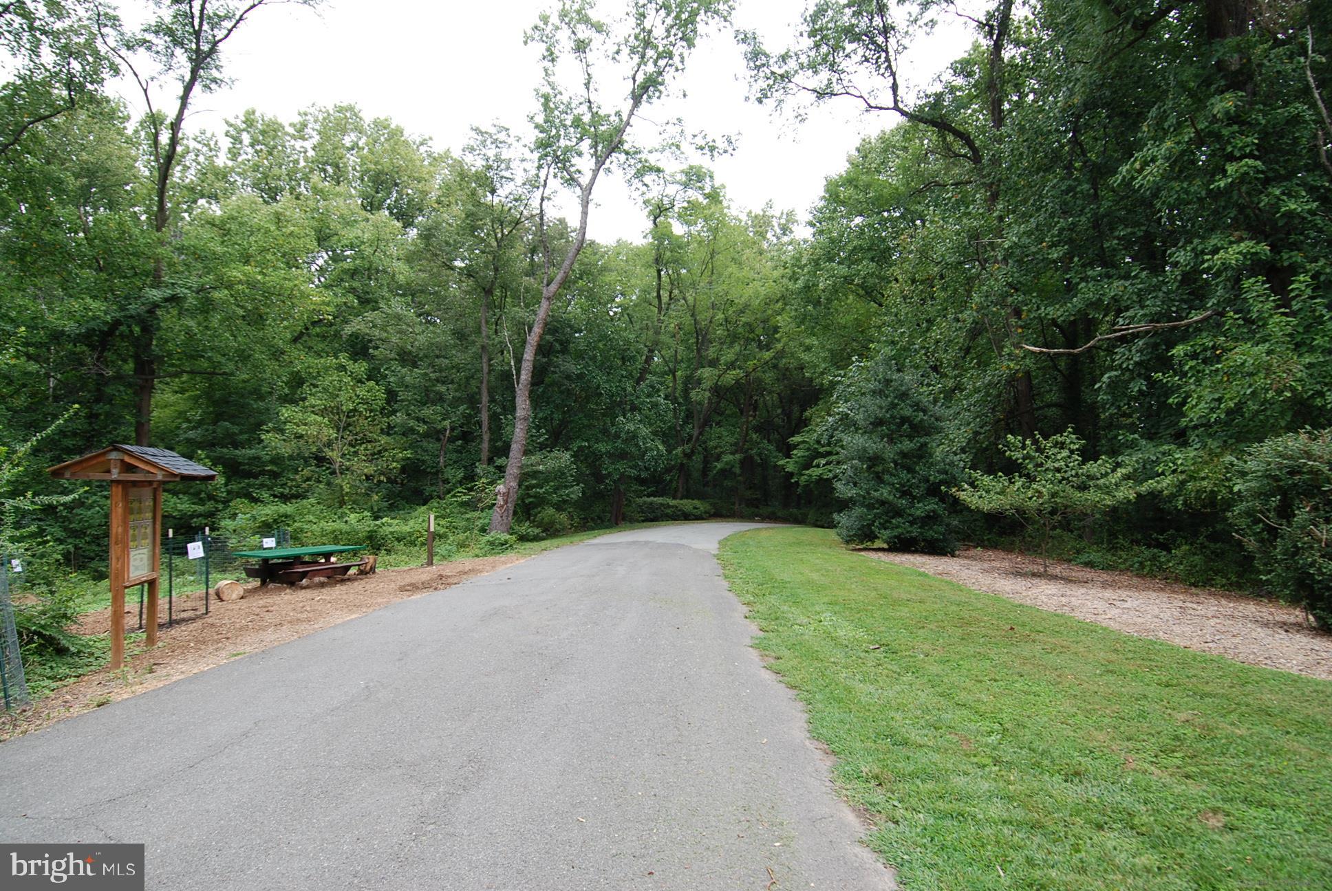 BELLEVUE FOREST - Residential