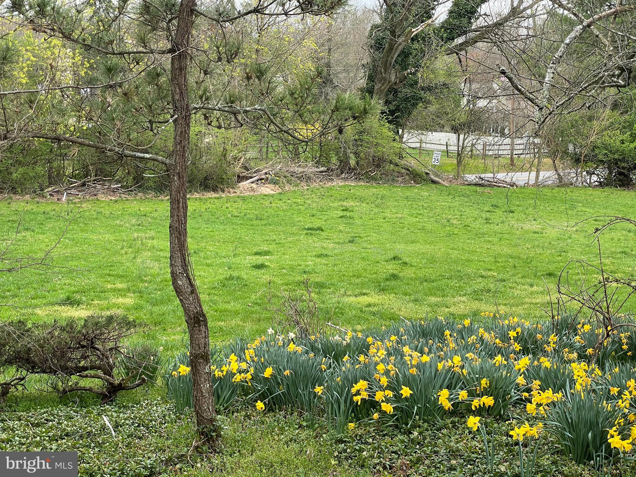 OLD FORGE ESTATES - Residential Lease