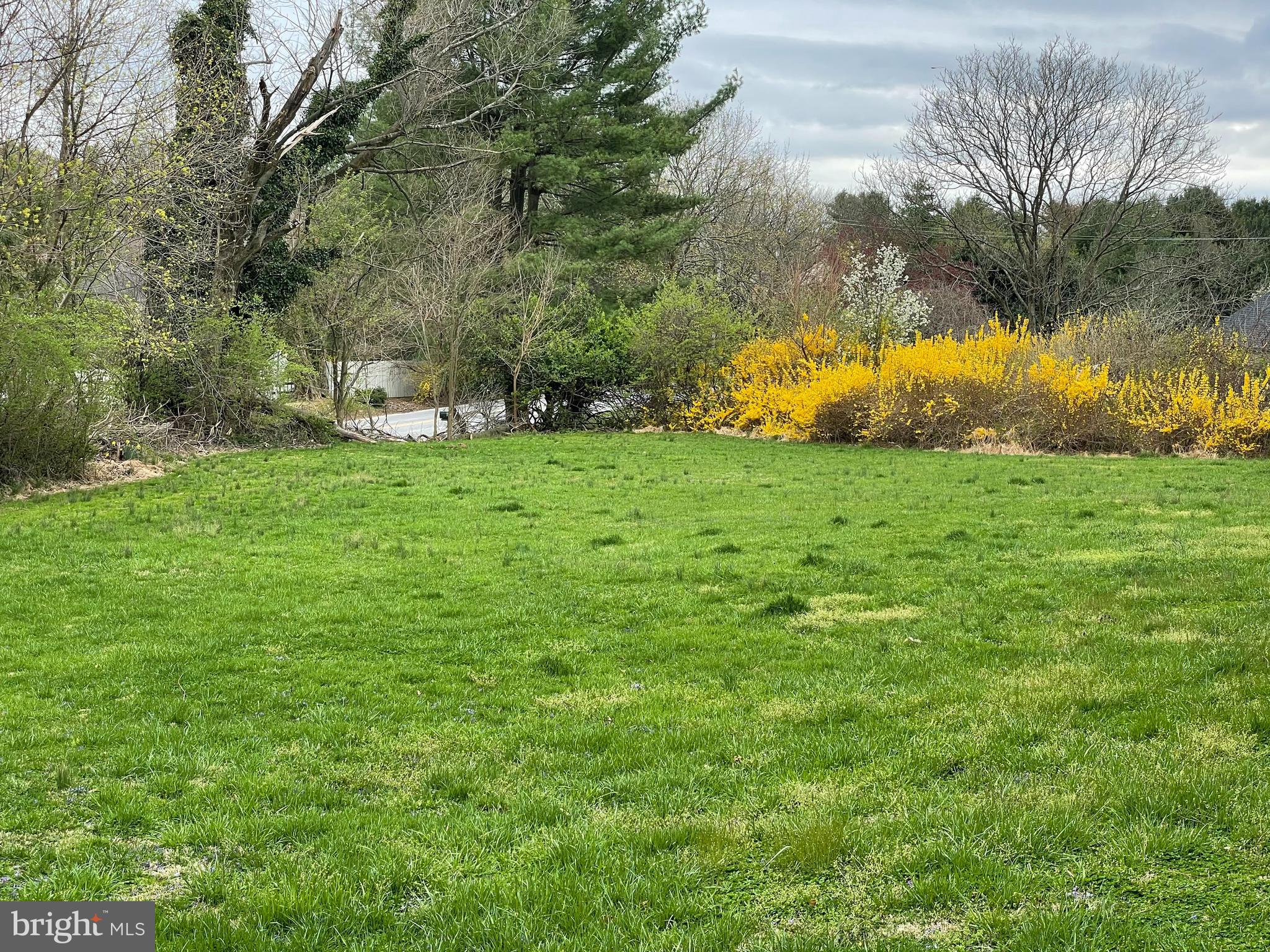 OLD FORGE ESTATES - Residential Lease