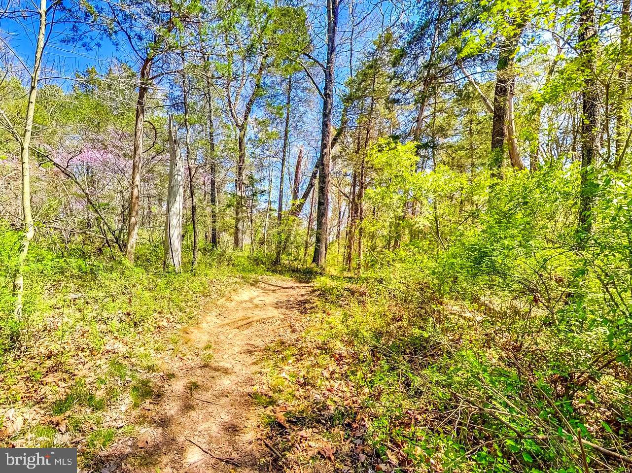 BUCKINGHAM AT LOUDOUN VALLEY - Residential