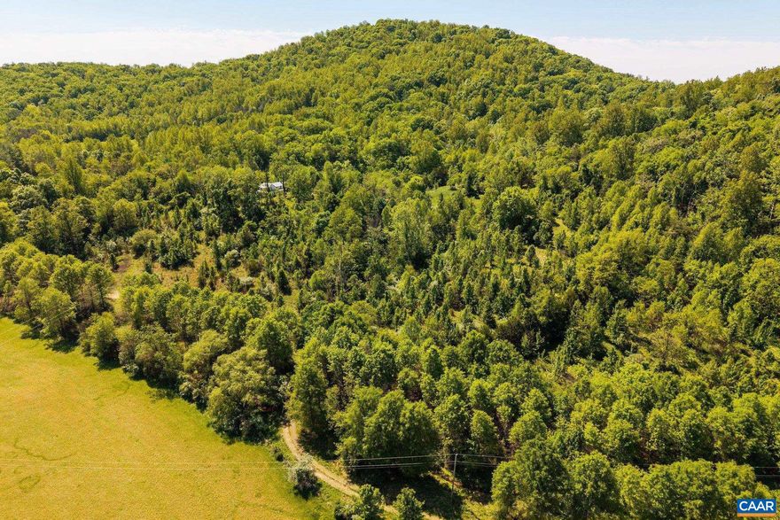 Set in Western Albemarle just outside of Free Union, this property offers privacy, water frontage, and long-range views in one of Central Virginia?s most desirable rural settings. The original farmhouse sits in an elevated position overlooking the land and may serve as a restoration project or future estate homesite. A rustic 1990s cabin and several original outbuildings with power service provide additional utility for storage, workshop, or recreational use. Three established homesites remain under the conservation easement. An approved site for an additional pond is located near the front portion of the property. Open pastureland provides a scenic and usable approach, while the balance of the acreage is largely wooded and mountainous, offering seclusion and natural beauty throughout. The property fronts the Lynch River and also includes a creek and small lake, creating a rare combination of water features. Several elevated vantage points capture sweeping countryside views. Approximately 30 minutes from Charlottesville and near Moss Vineyards.,Ashmont
