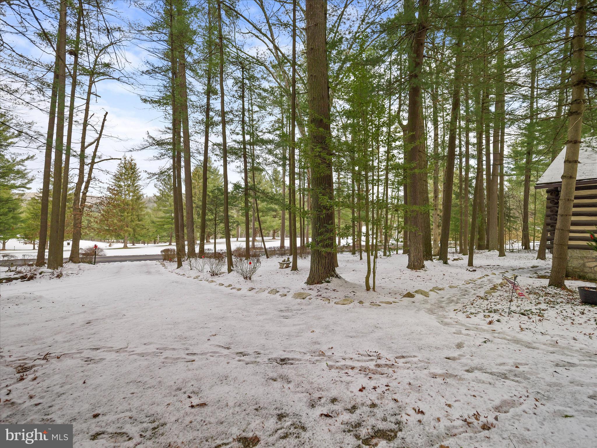 MICHAUX STATE FOREST - Residential