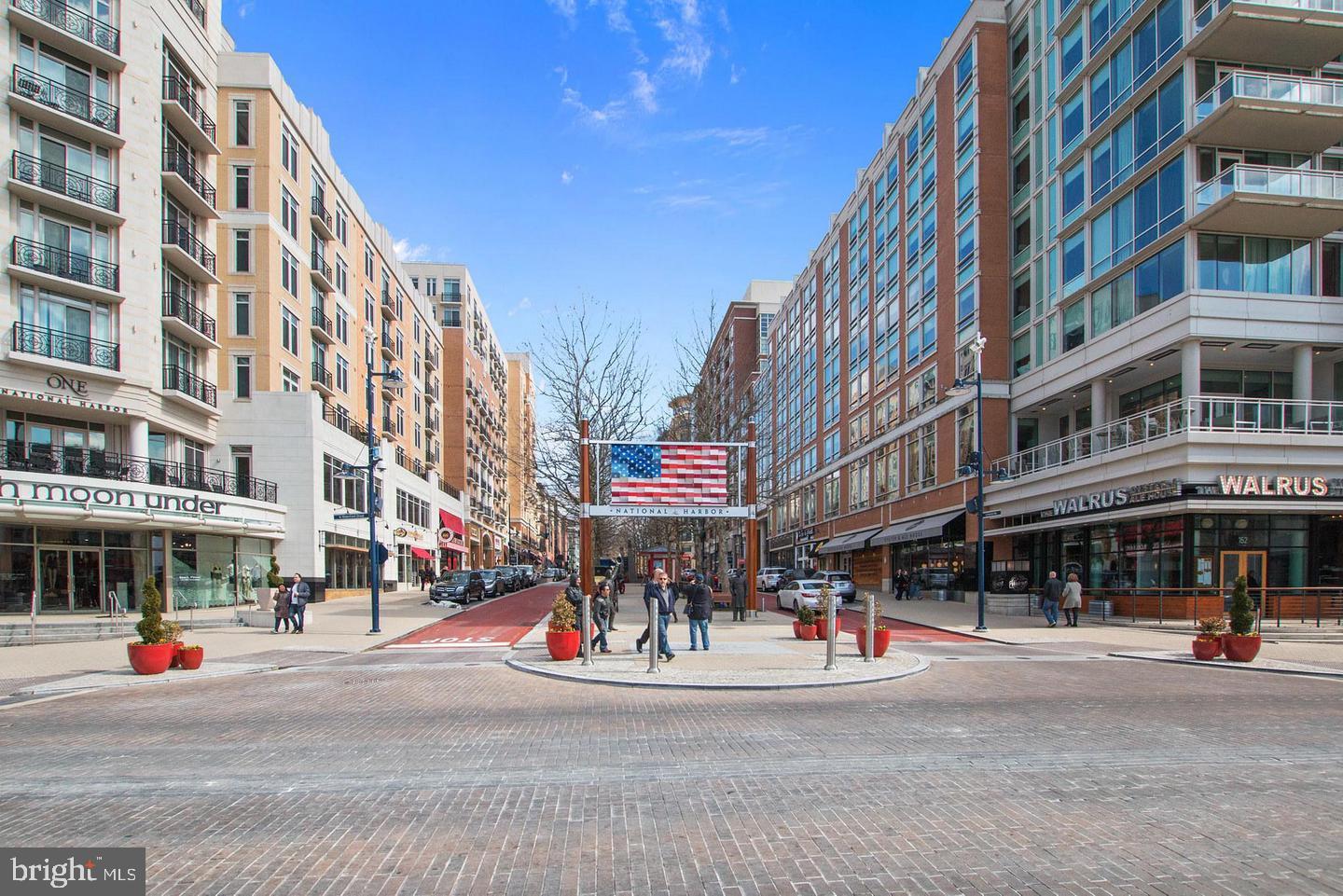 POTOMAC OVERLOOK AT NATIONAL HARBOR - Residential