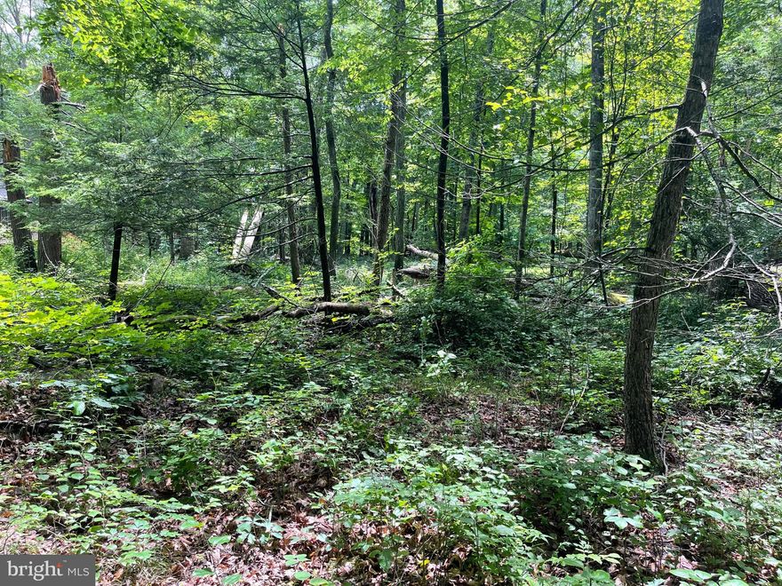 Nice building lot in Coolfont Mountainside.  Community offers: swimming pool, hot tub, hiking trails, tennis courts, playground, and much more.  Public water is available, public septic is available, and electric is nearby ...so the infrastructure is ready. Less than 10 minutes to town and about the same to Cacapon State Park, so a win-win situation location wise.  Plenty of woods and wildlife here.