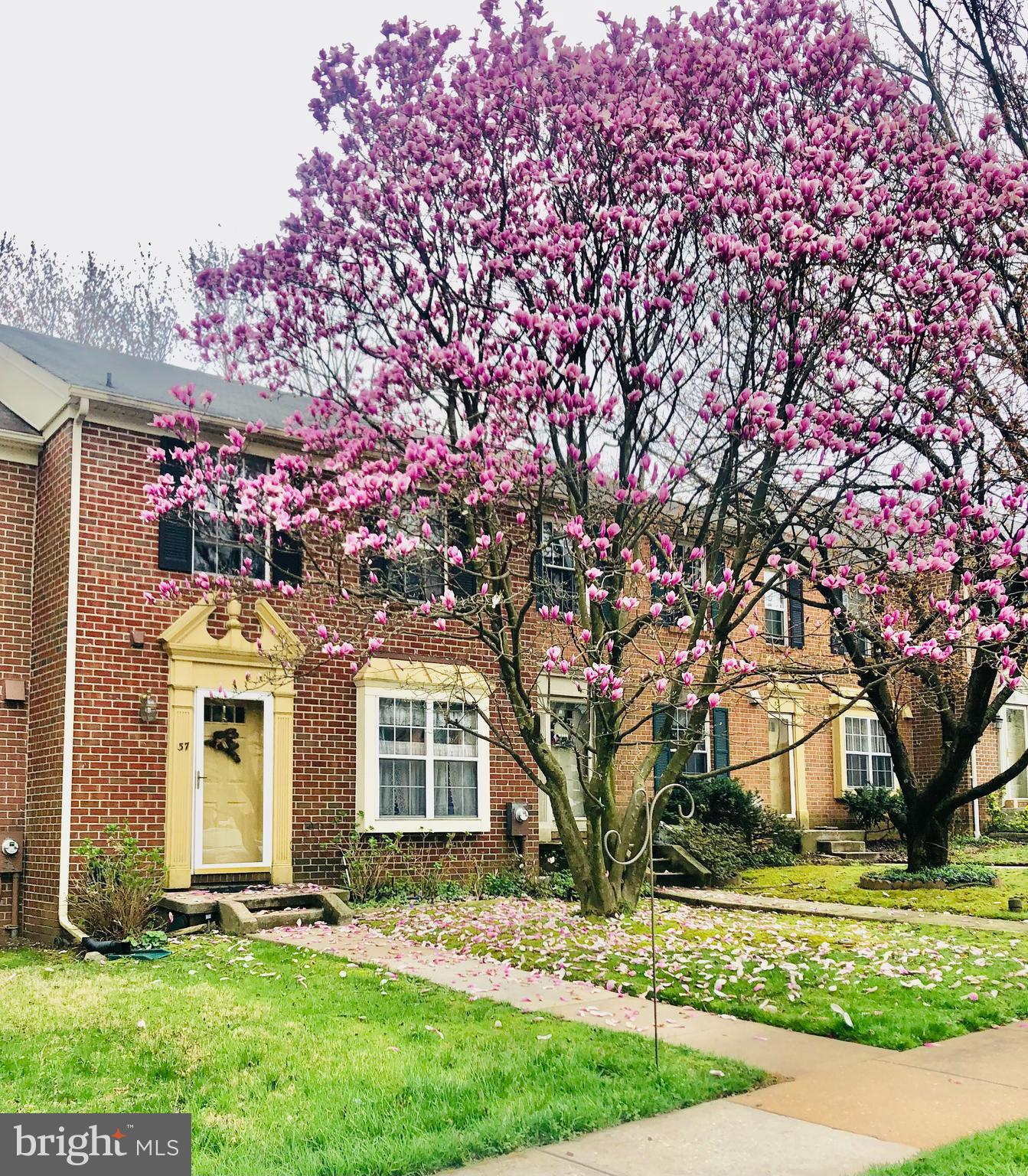 MAYS CHAPEL VILLAGE - Residential