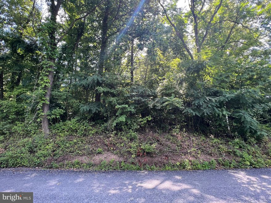 Wooded Lot In Shenandoah Farms Mountain Lake, .37 Acres across from the Lake!
