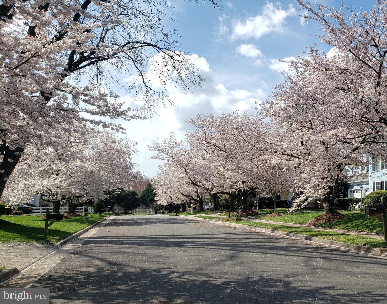 CHAIN BRIDGE SQUARE - Residential