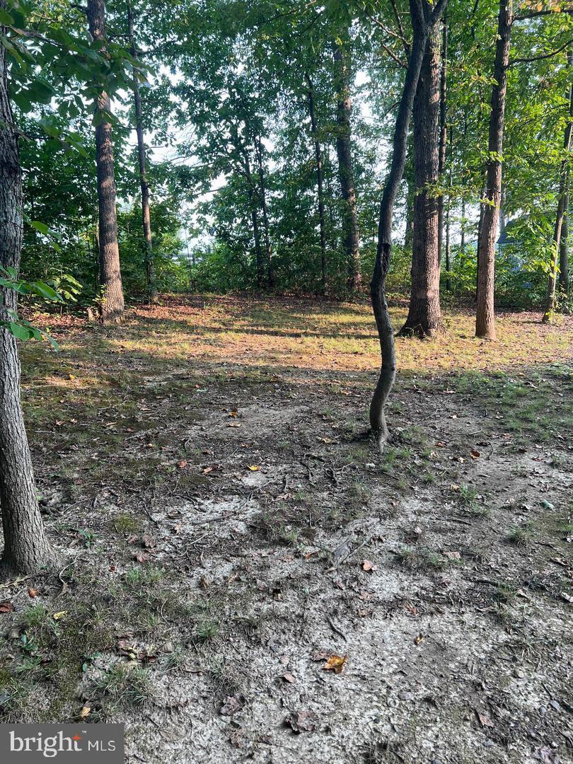 LAKE OF THE WOODS - Residential Lease