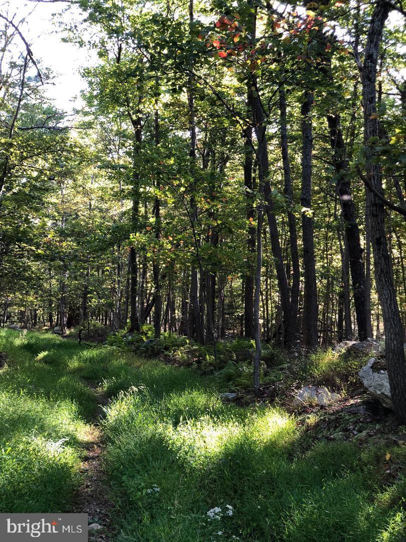 SHANNONDALE - Residential